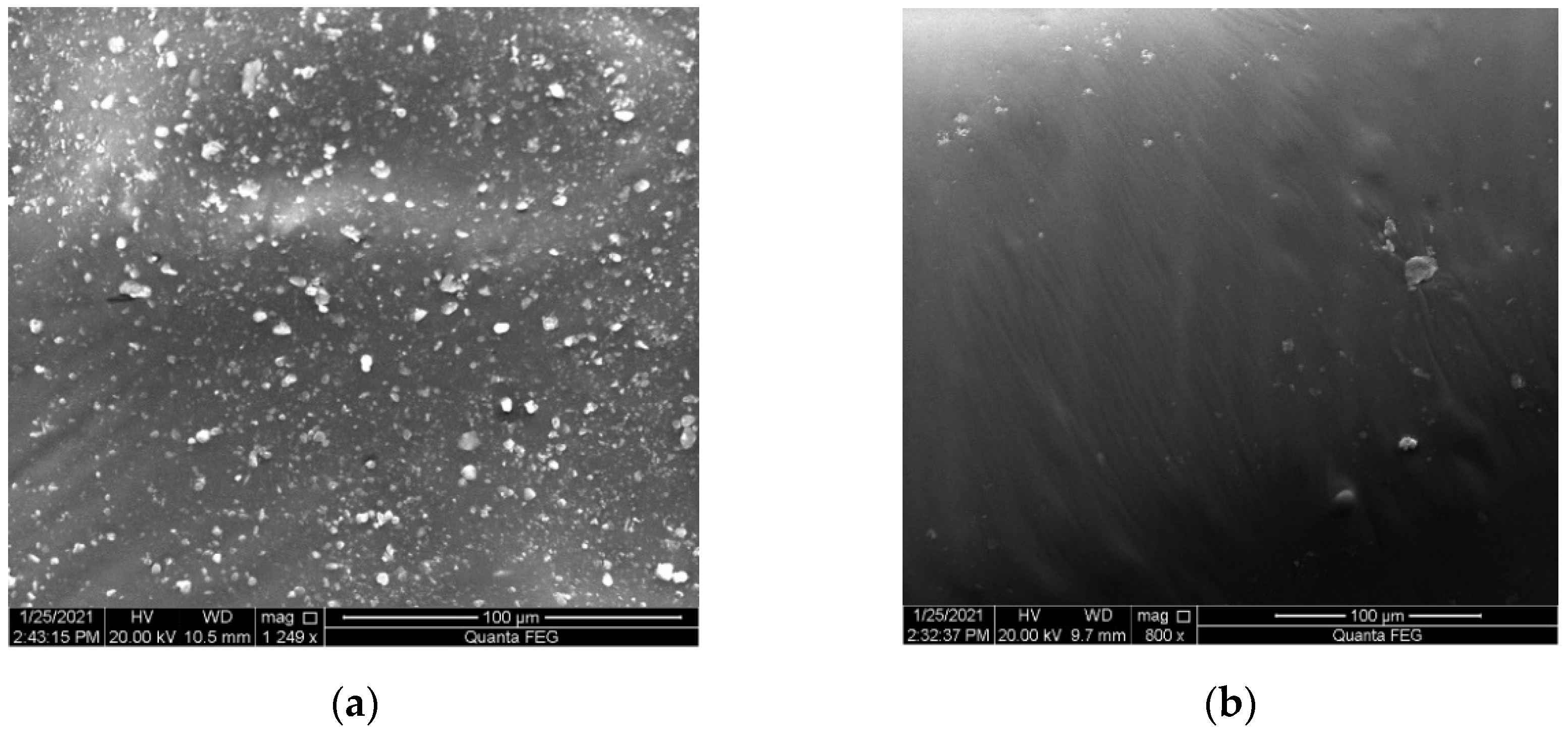 Materials 14 04684 g003