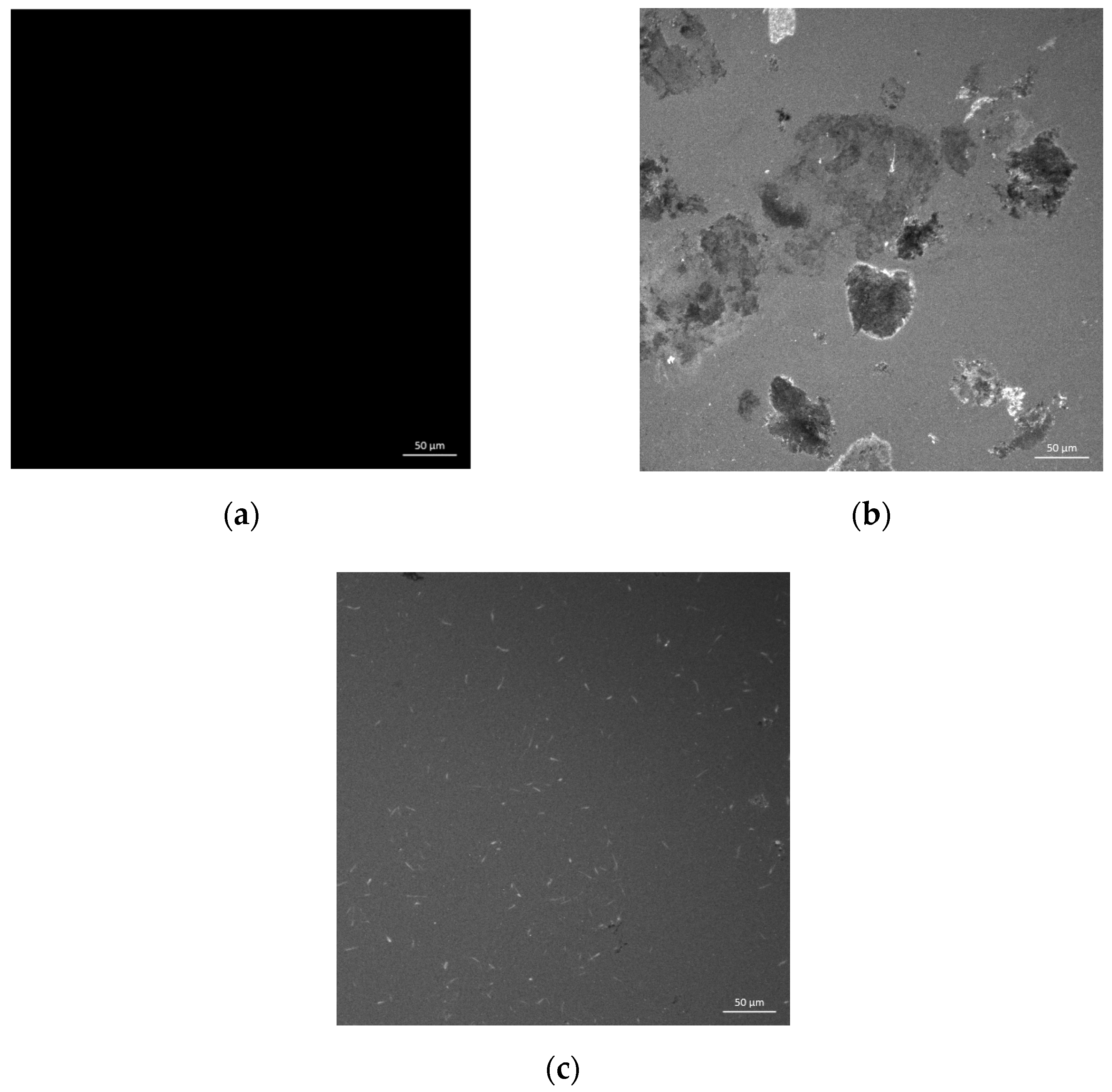 Materials 14 04684 g004