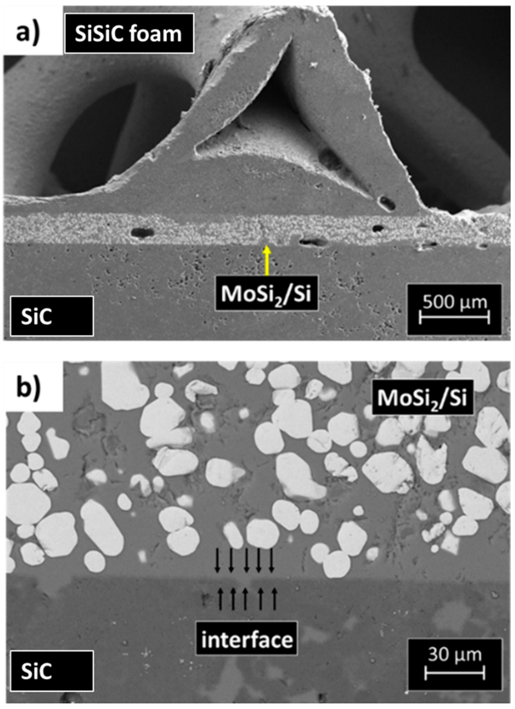 Materials 14 04687 g010