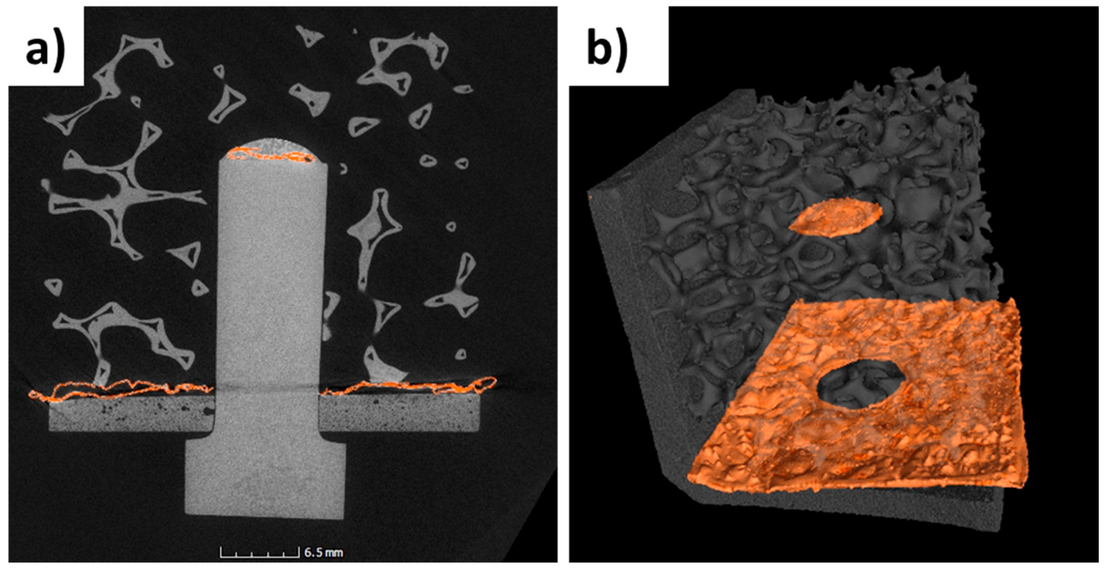 Materials 14 04687 g014