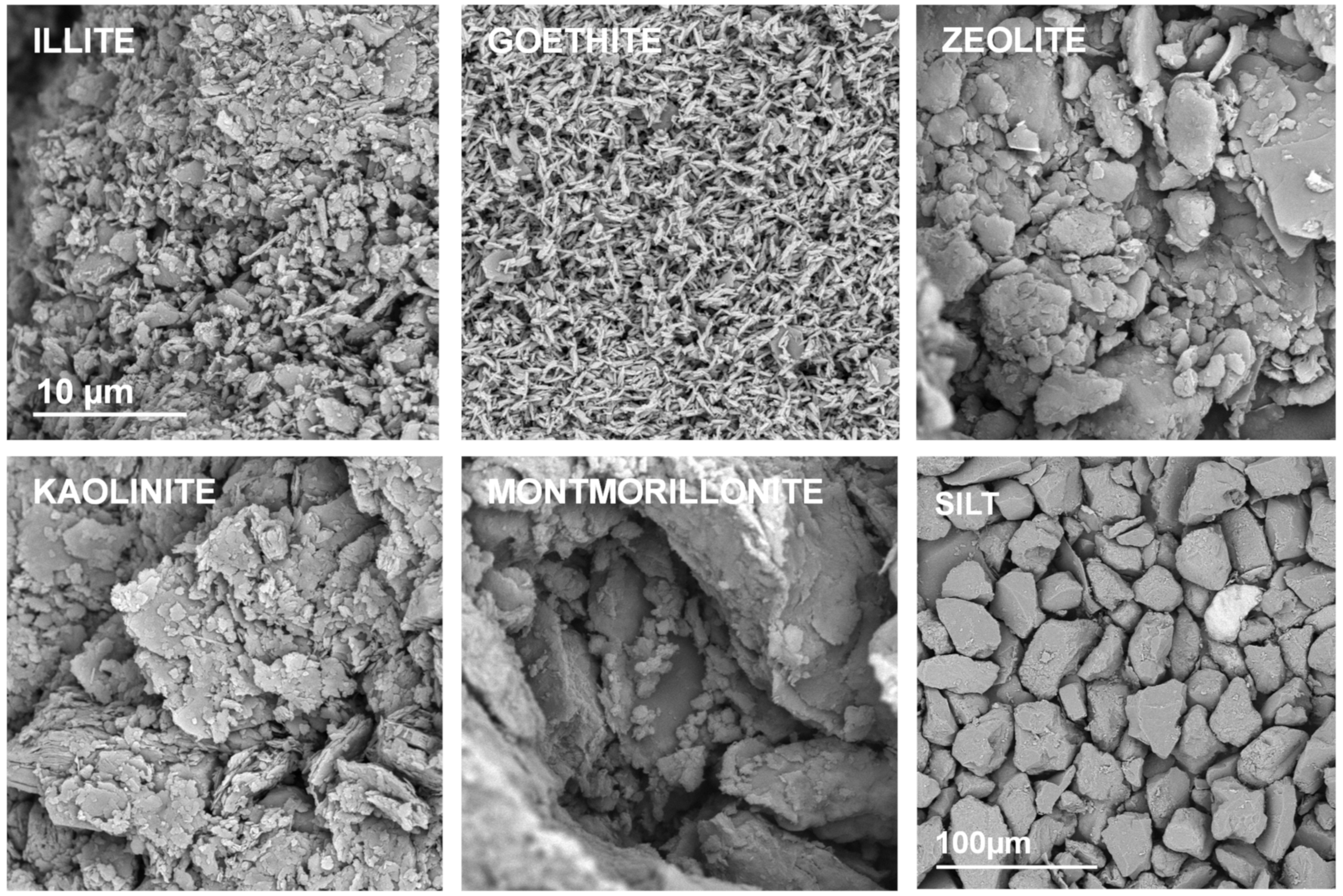 Materials 14 04688 g002