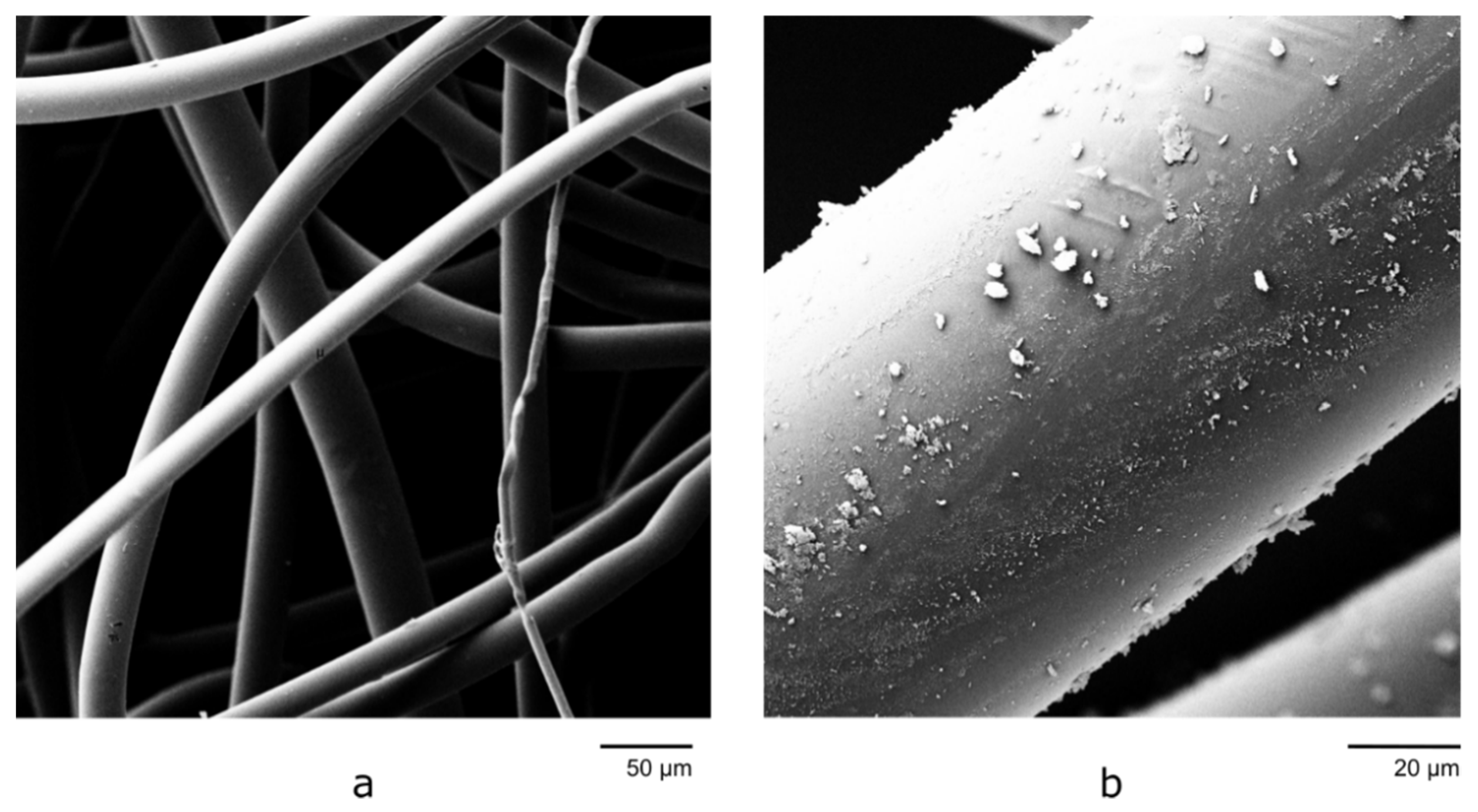 Materials 14 04699 g004 Materials 14 04699 g004