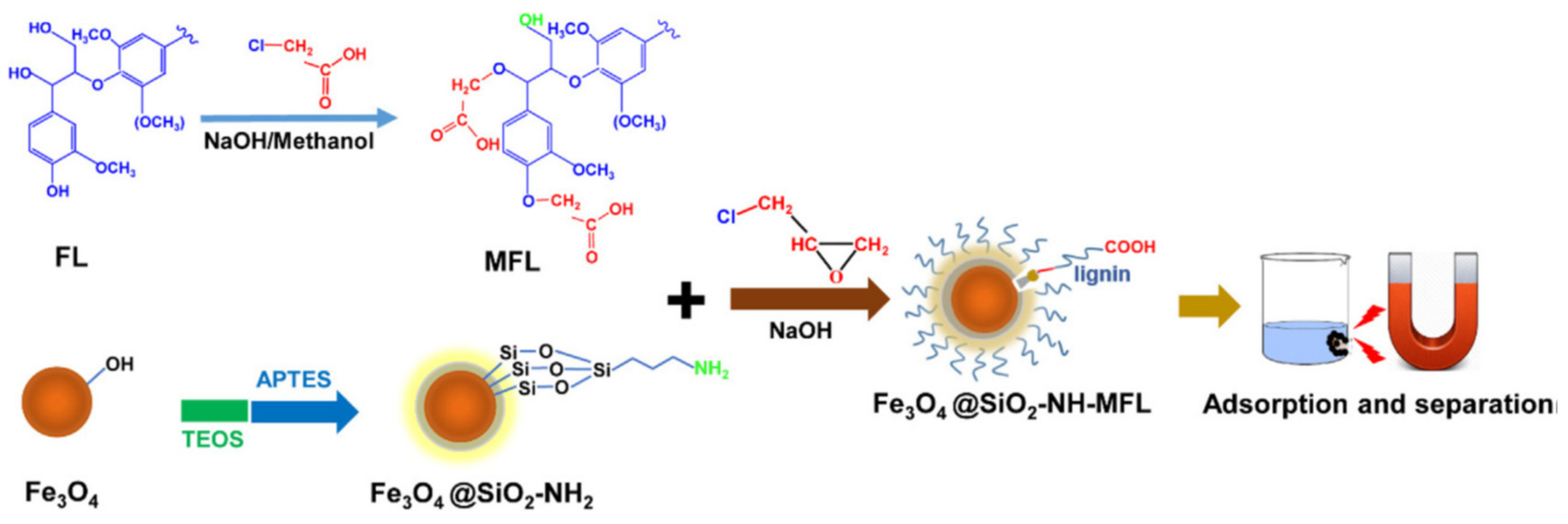 Materials 14 04702 g004