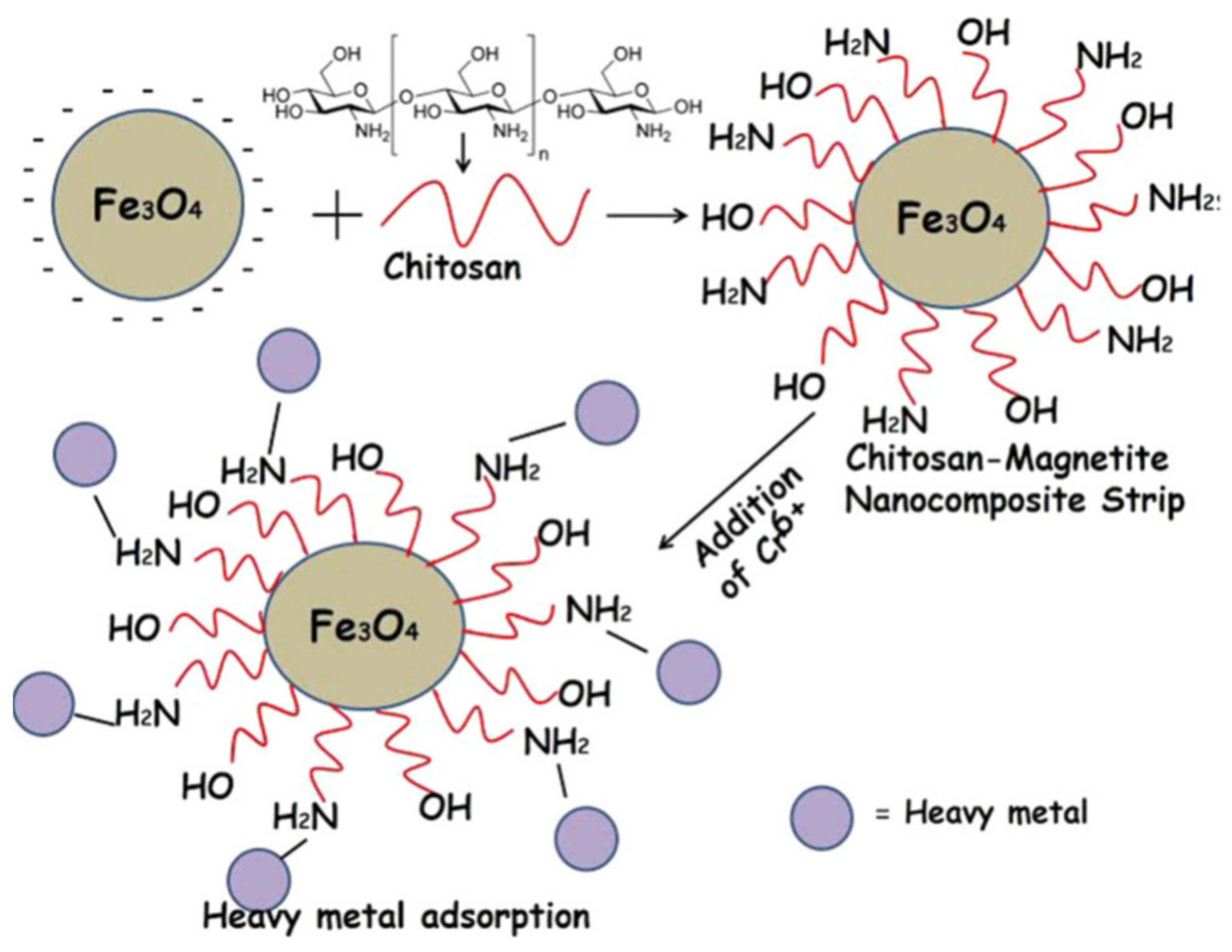 Materials 14 04702 g005