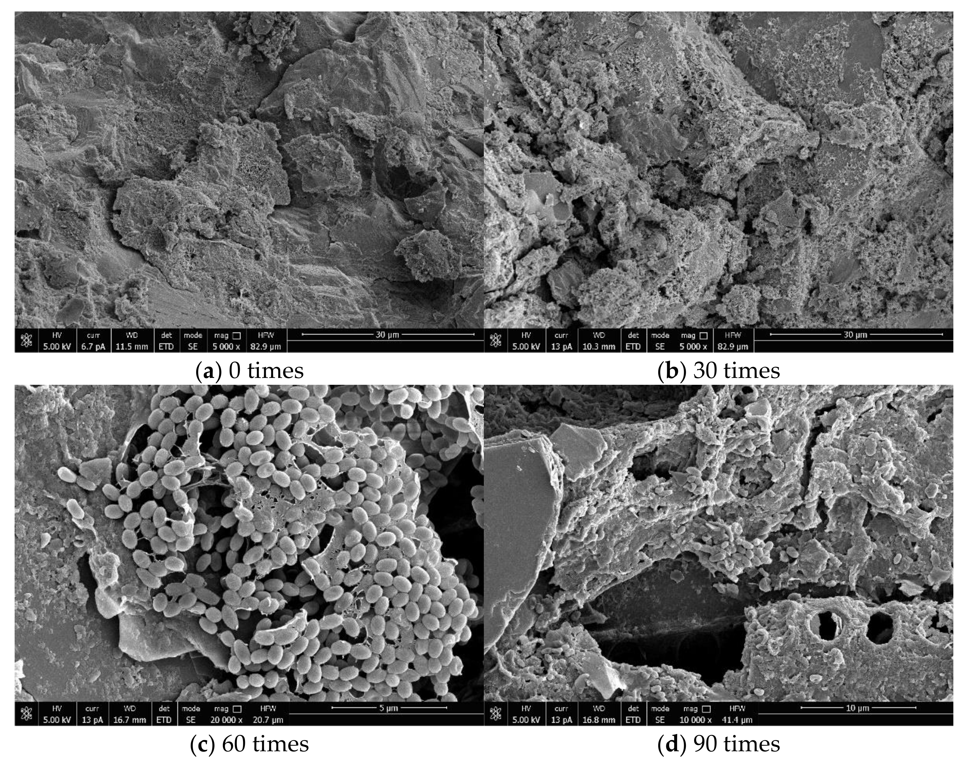 Materials 14 04706 g005