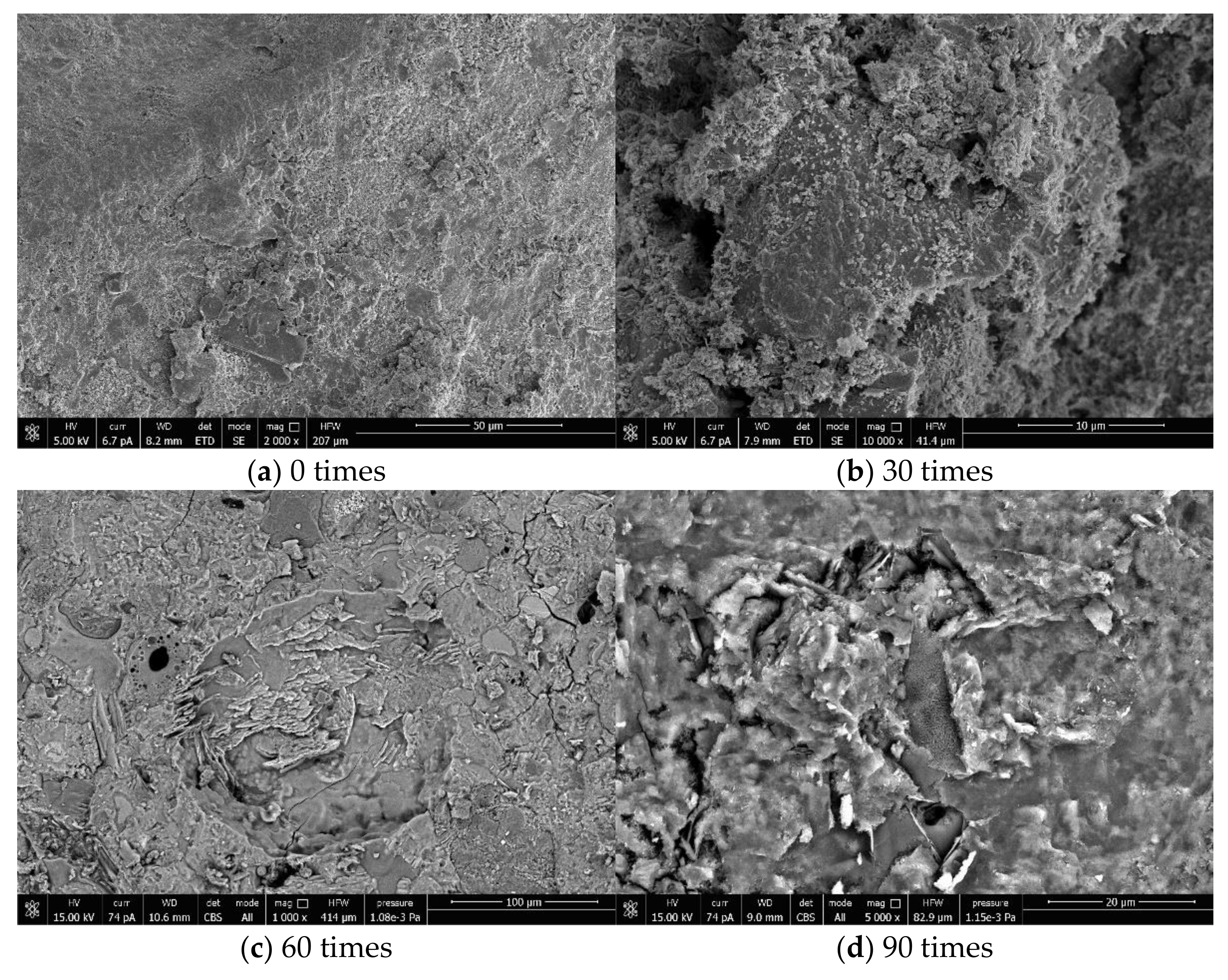 Materials 14 04706 g006