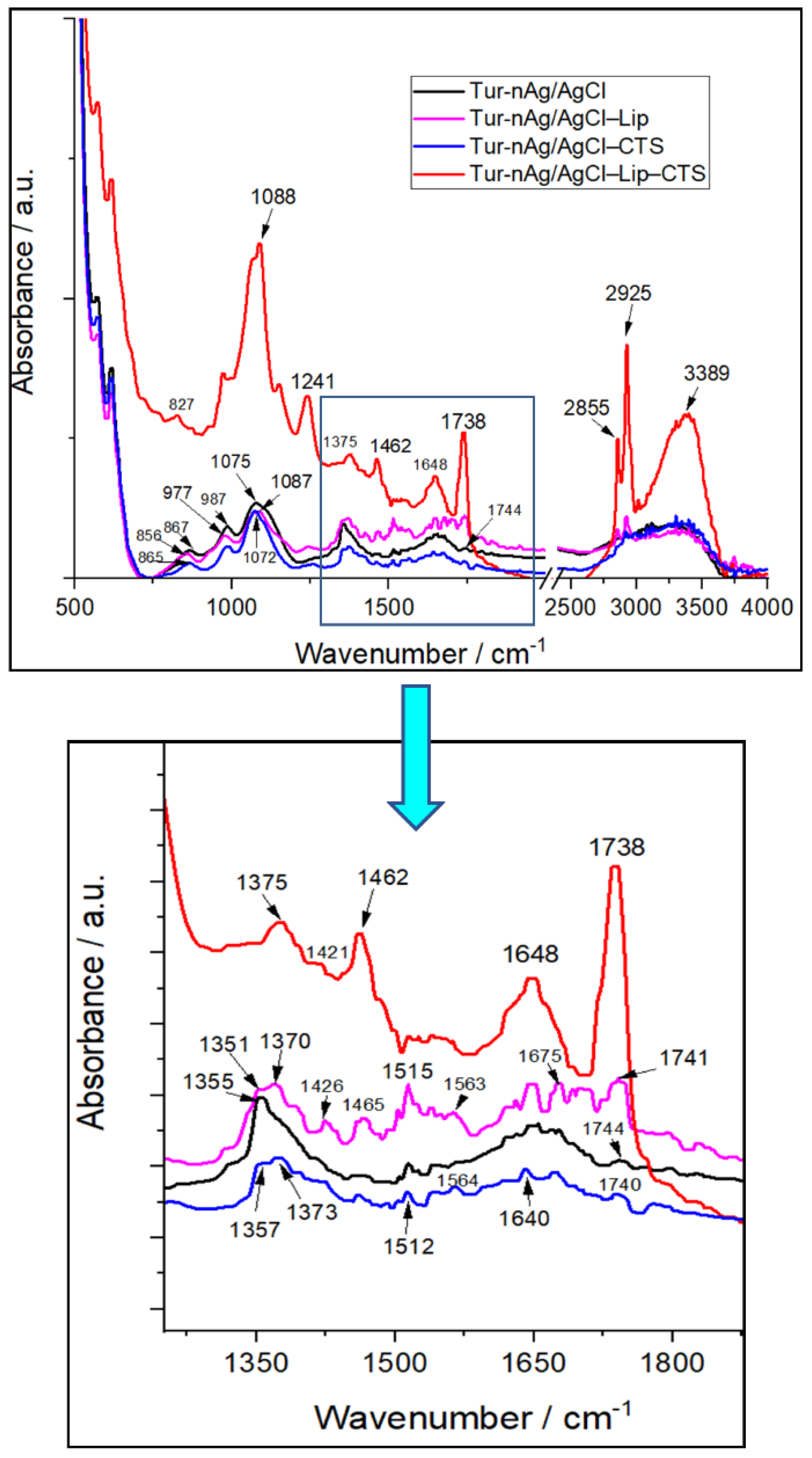 Materials 14 04726 g002