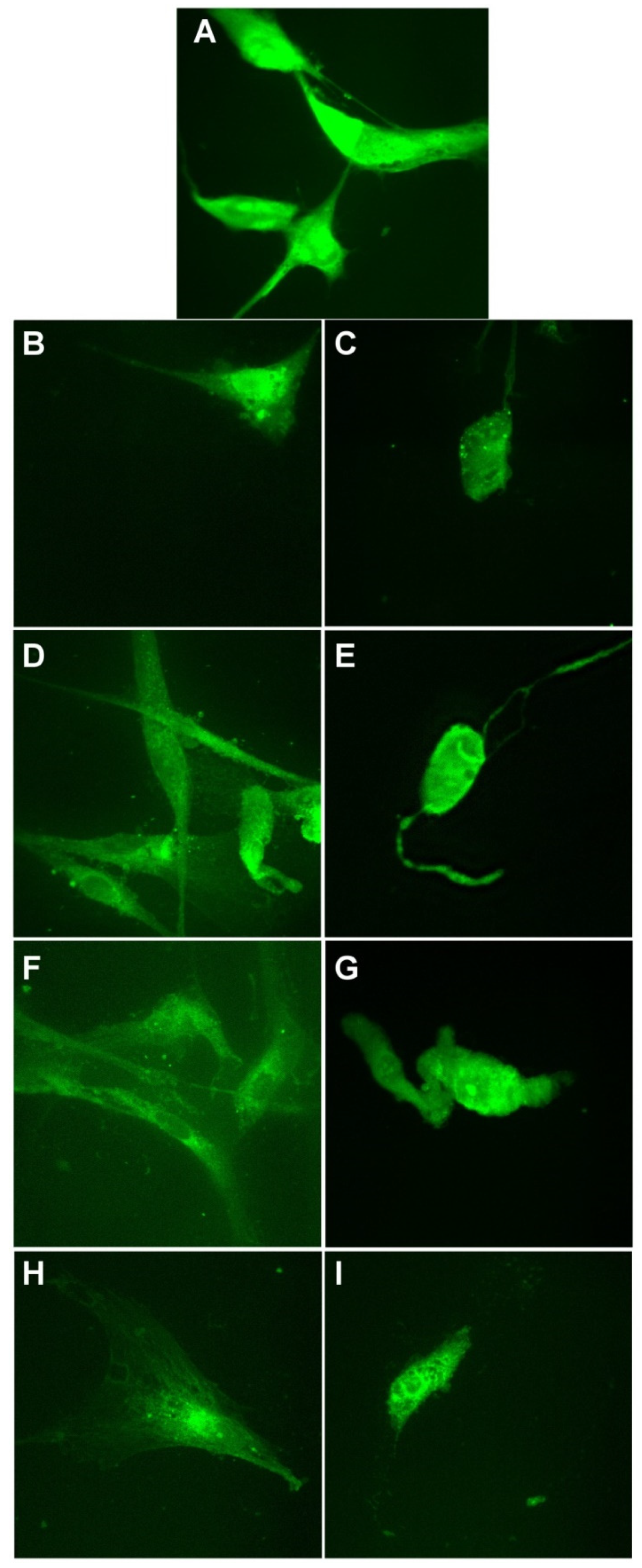 Materials 14 04726 g012