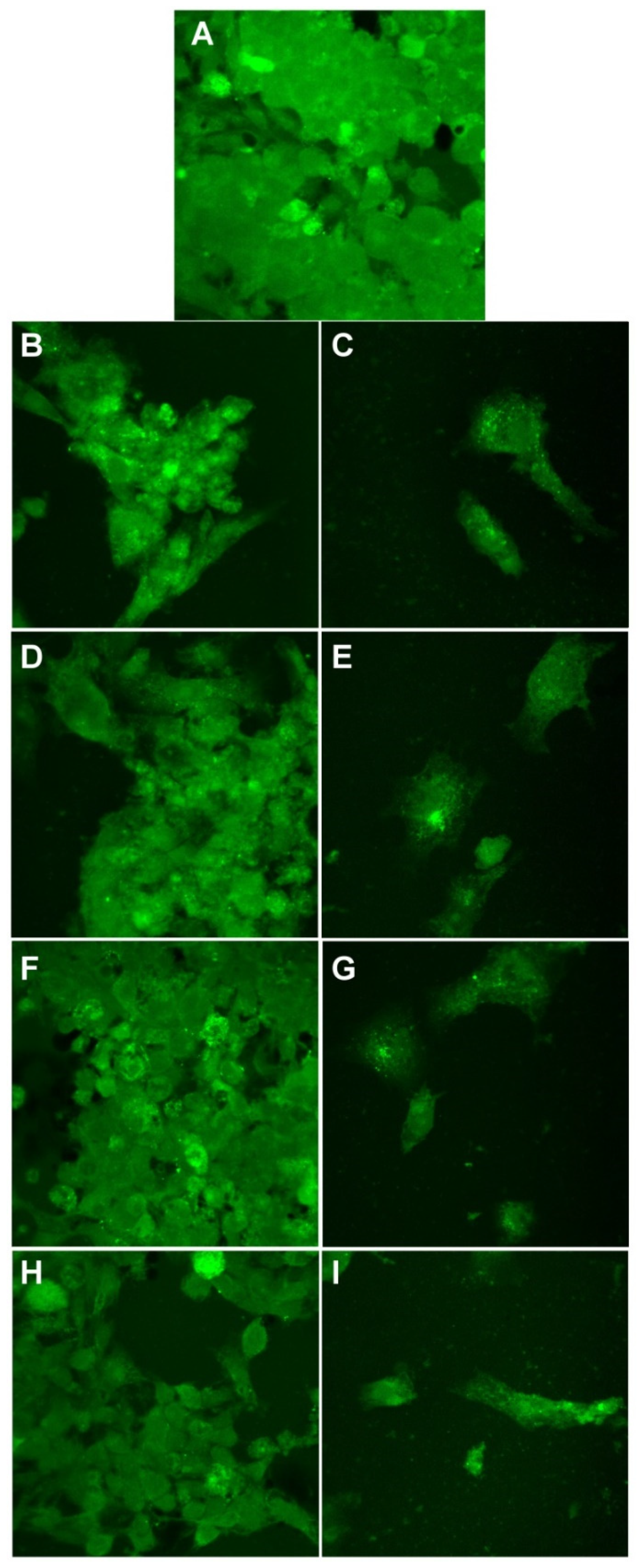 Materials 14 04726 g013