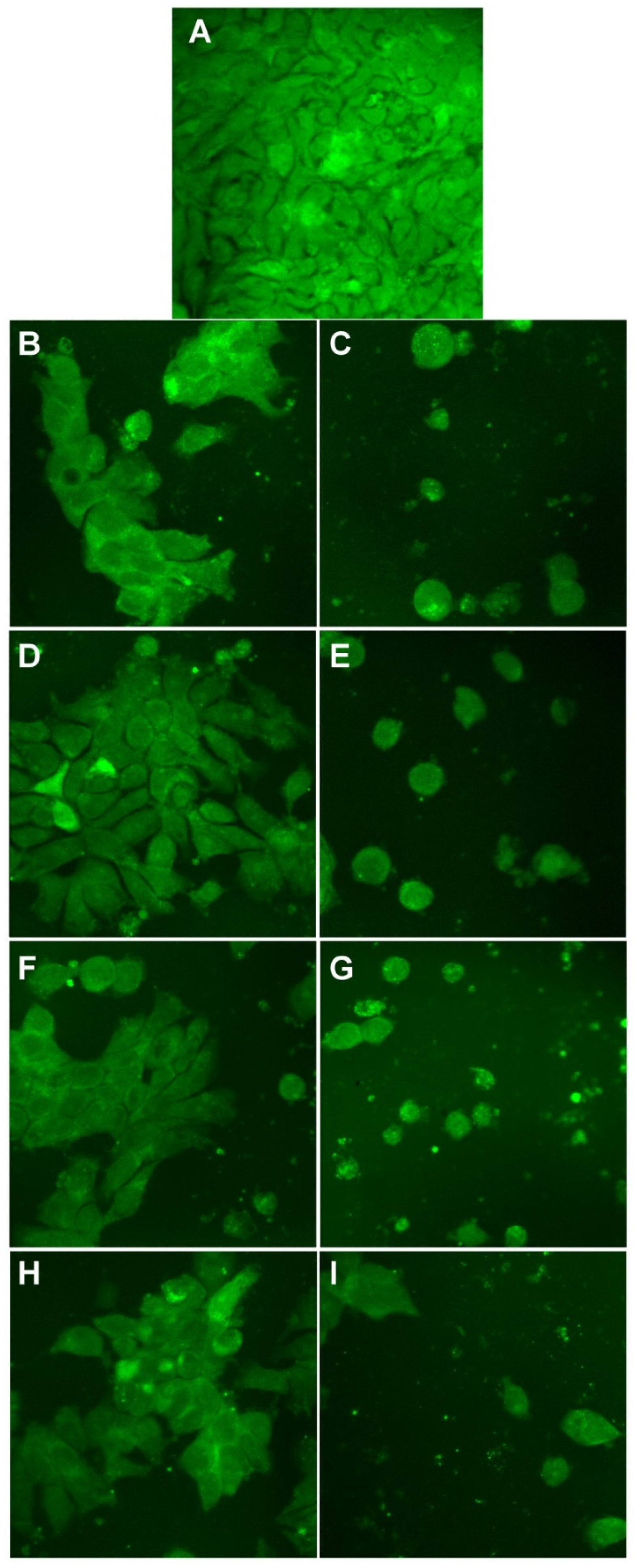 Materials 14 04726 g014