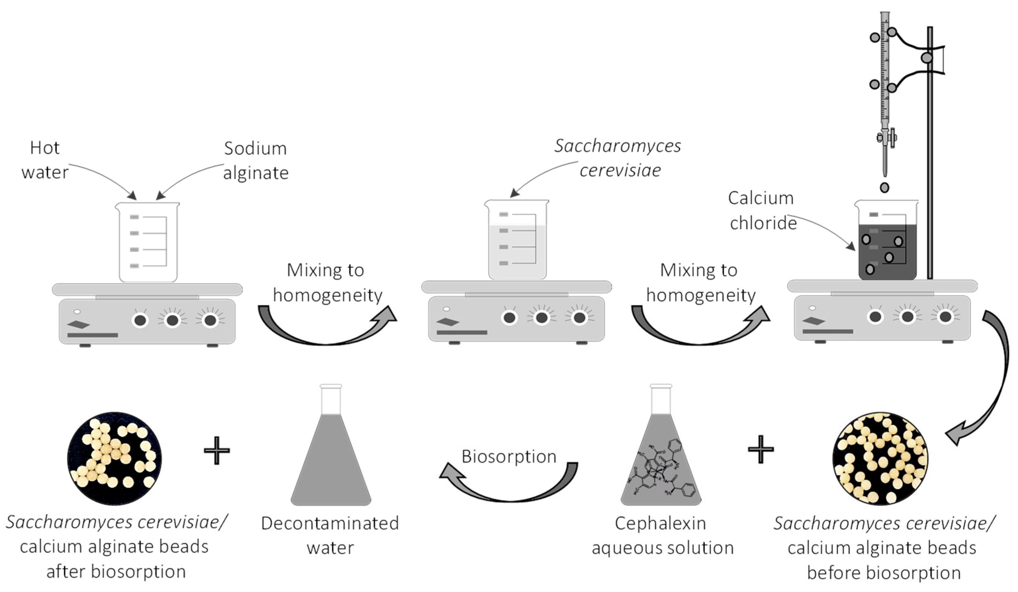 Materials 14 04728 g002