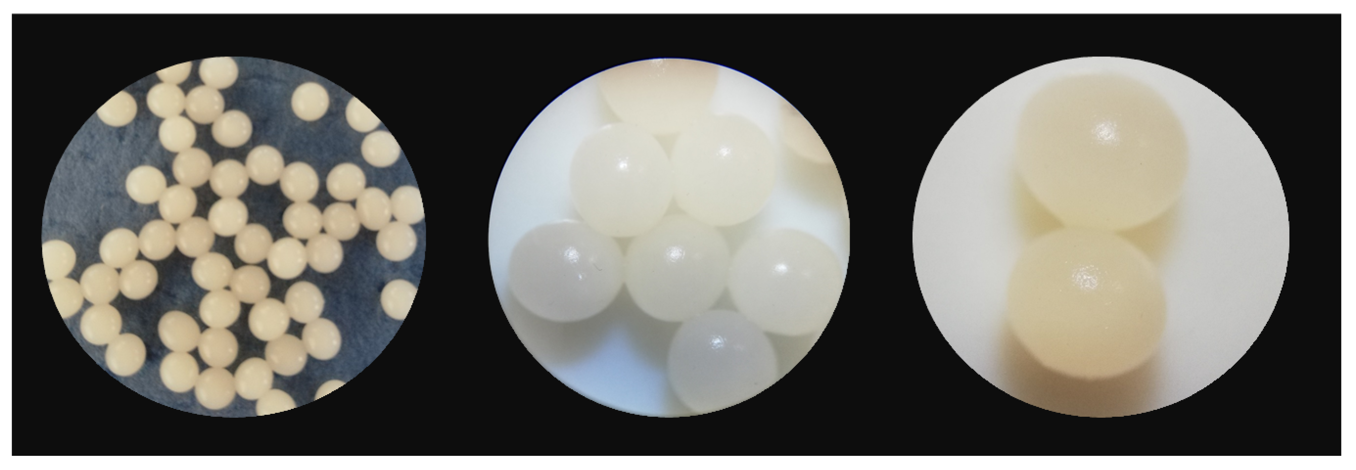 Materials 14 04728 g003