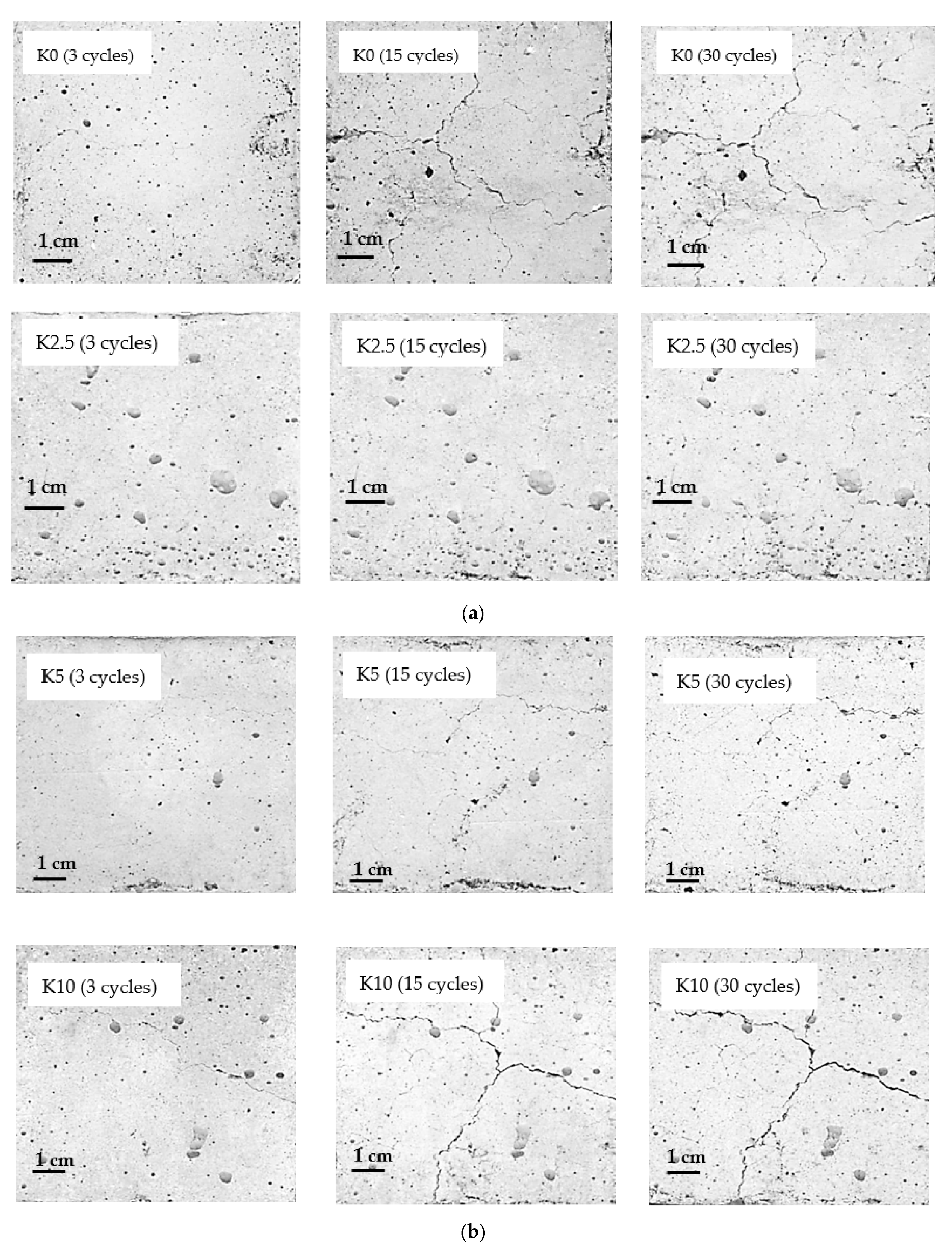 Materials 14 04736 g004 Materials 14 04736 g004