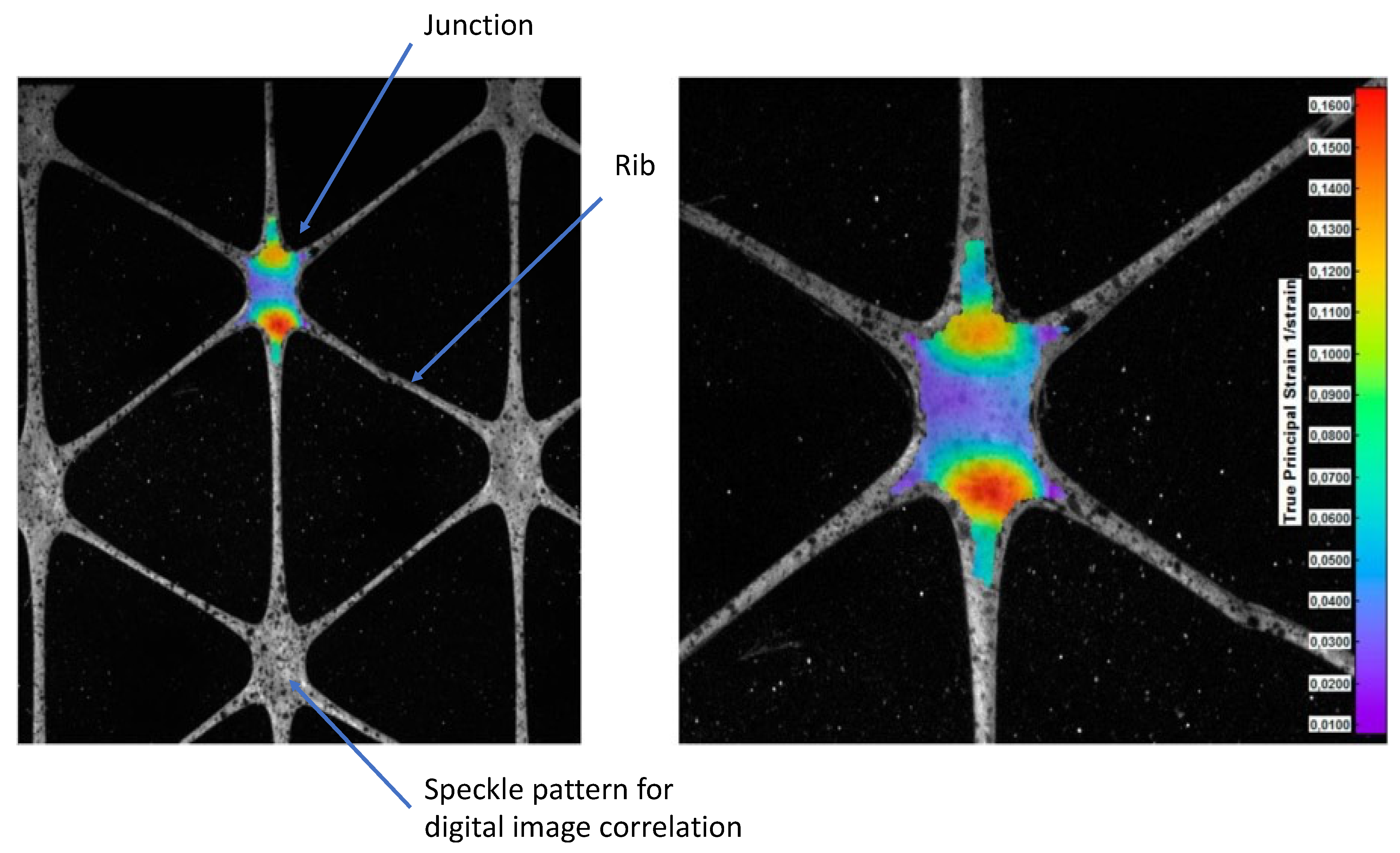 Materials 14 04745 g006