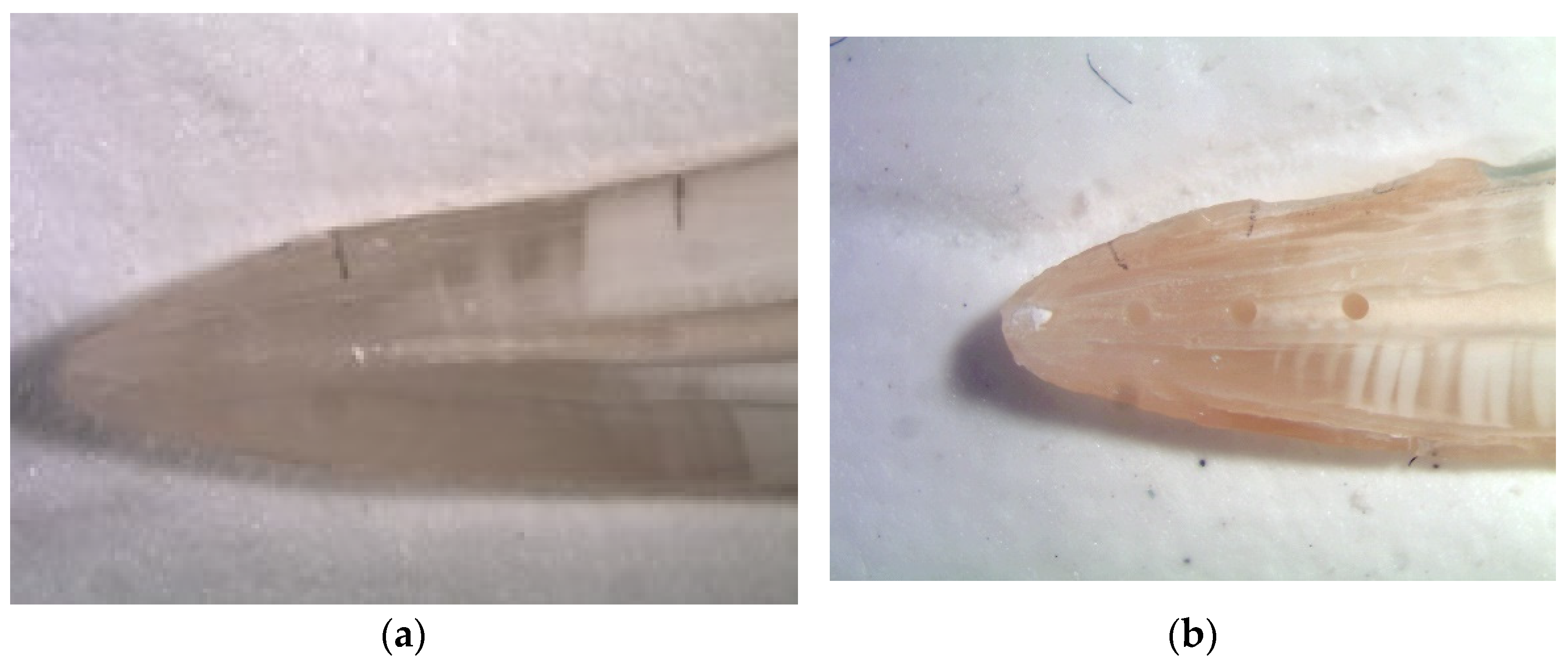 Materials 14 04750 g001