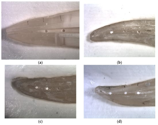 Materials 14 04750 g002