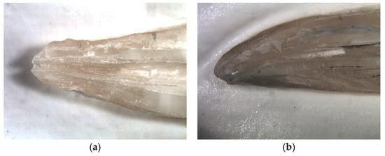 Materials 14 04750 g003a