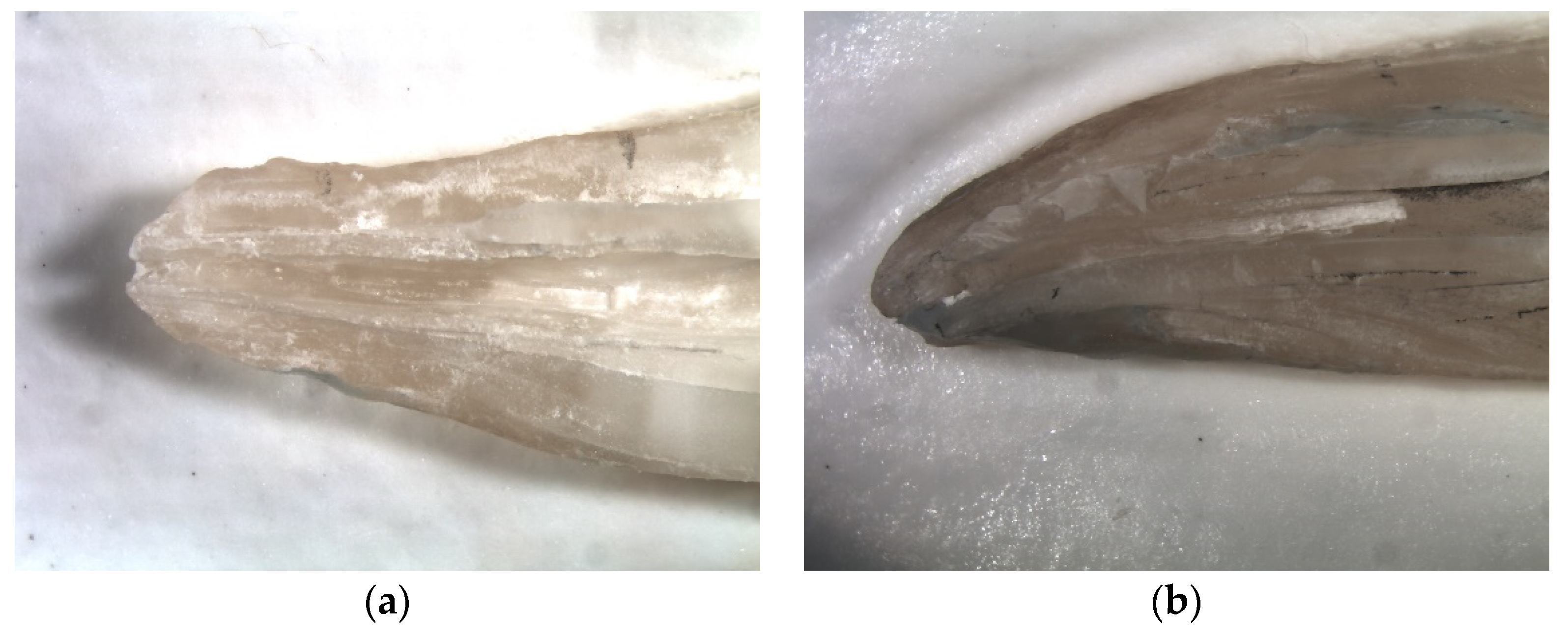 Materials 14 04750 g003a