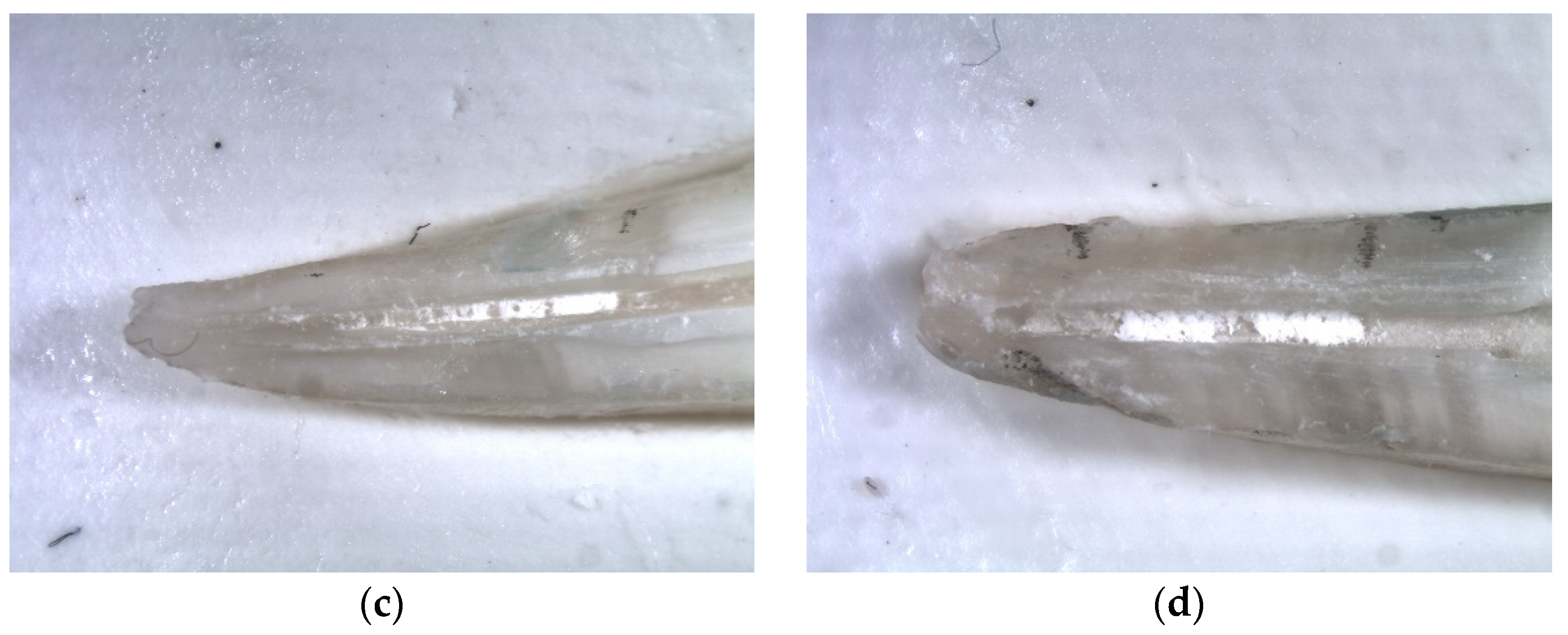 Materials 14 04750 g003b