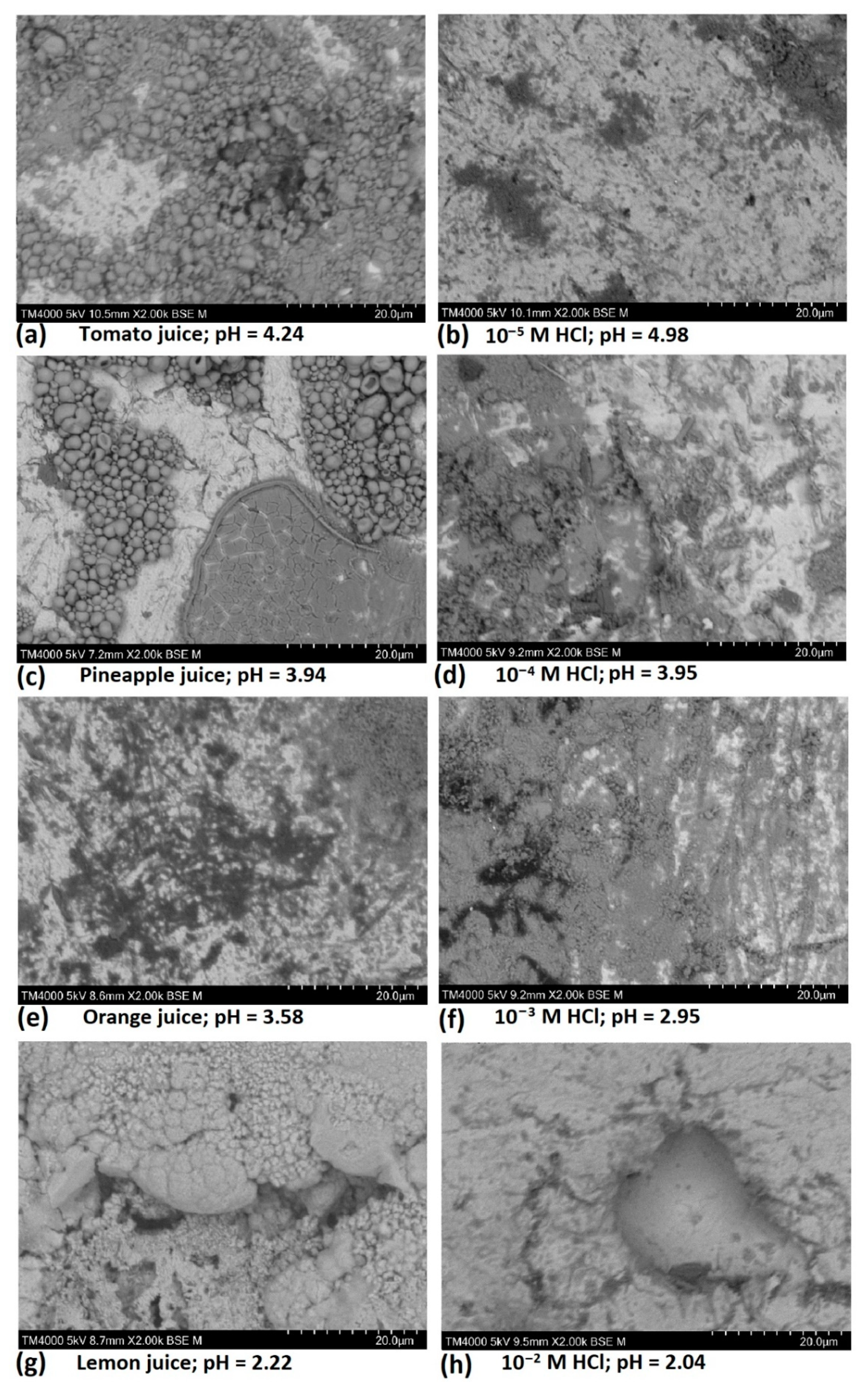 Materials 14 04755 g005 Materials 14 04755 g005