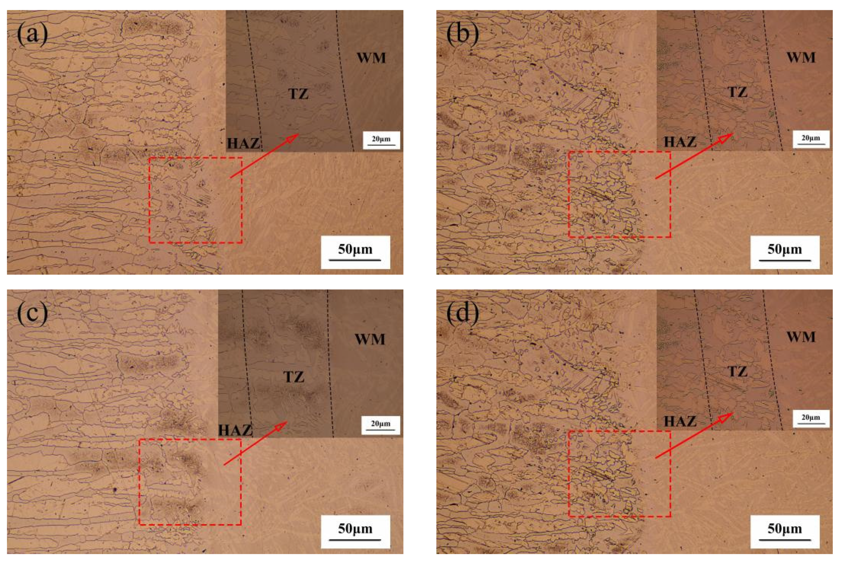 Materials 14 04774 g006