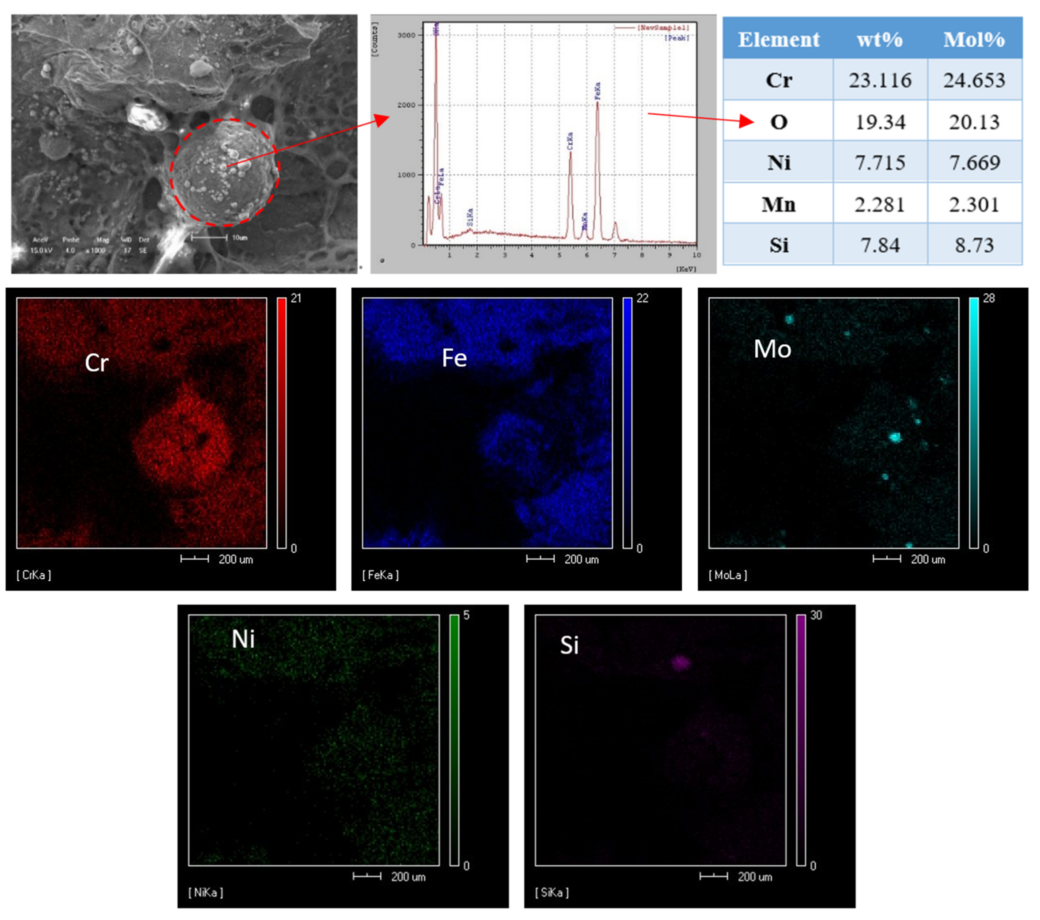 Materials 14 04774 g011
