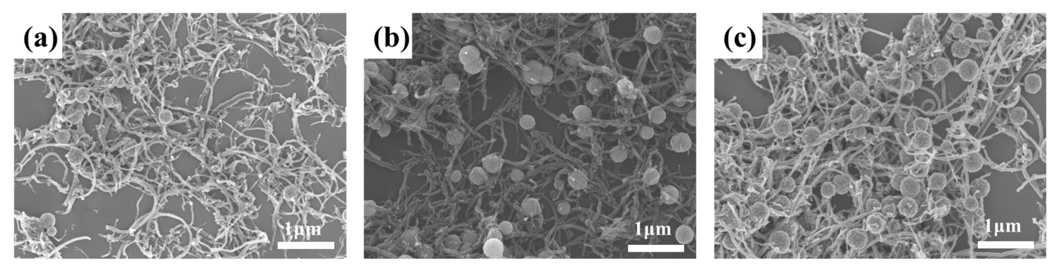 Materials 14 04783 g003