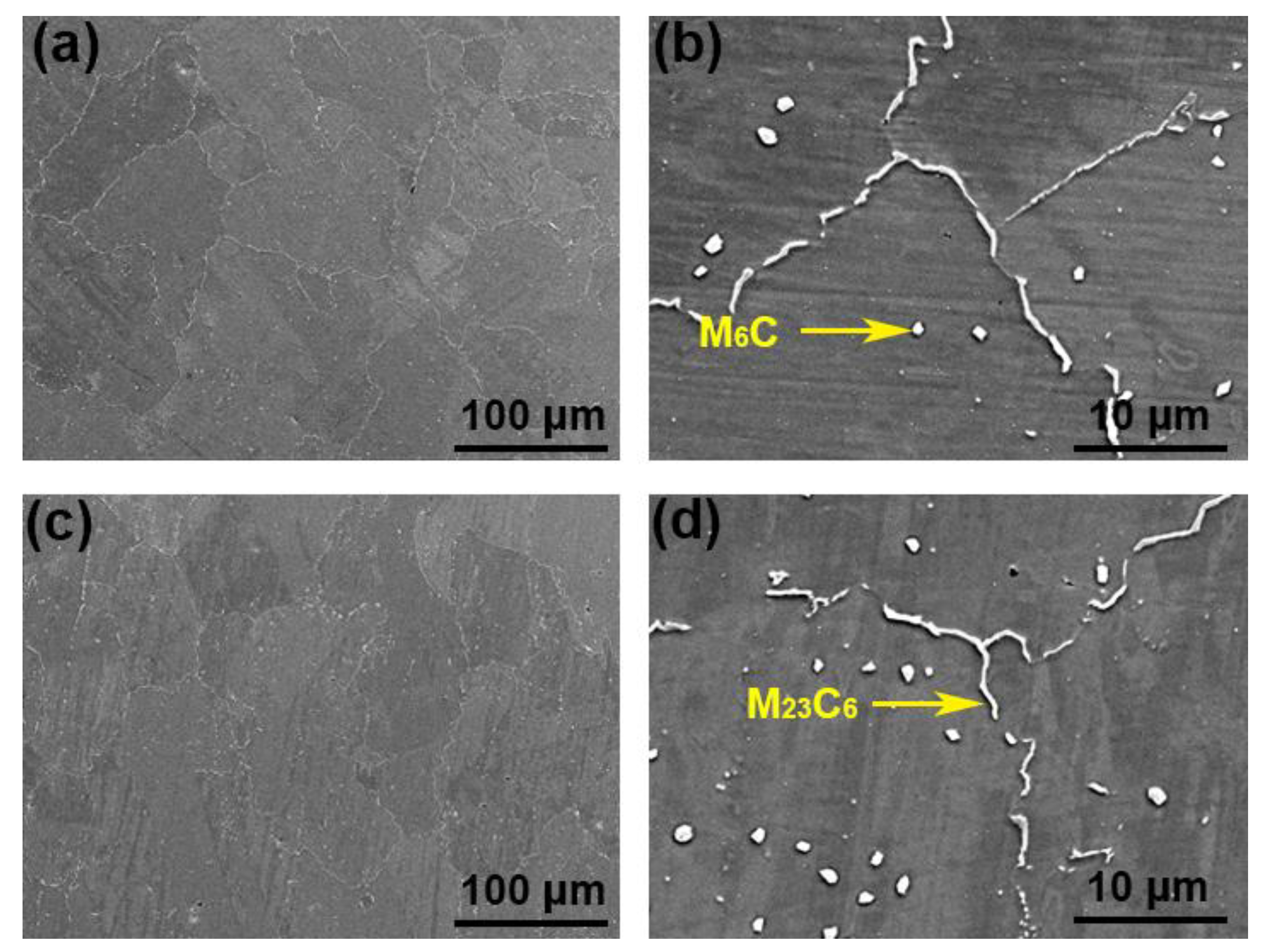 Materials 14 04792 g004