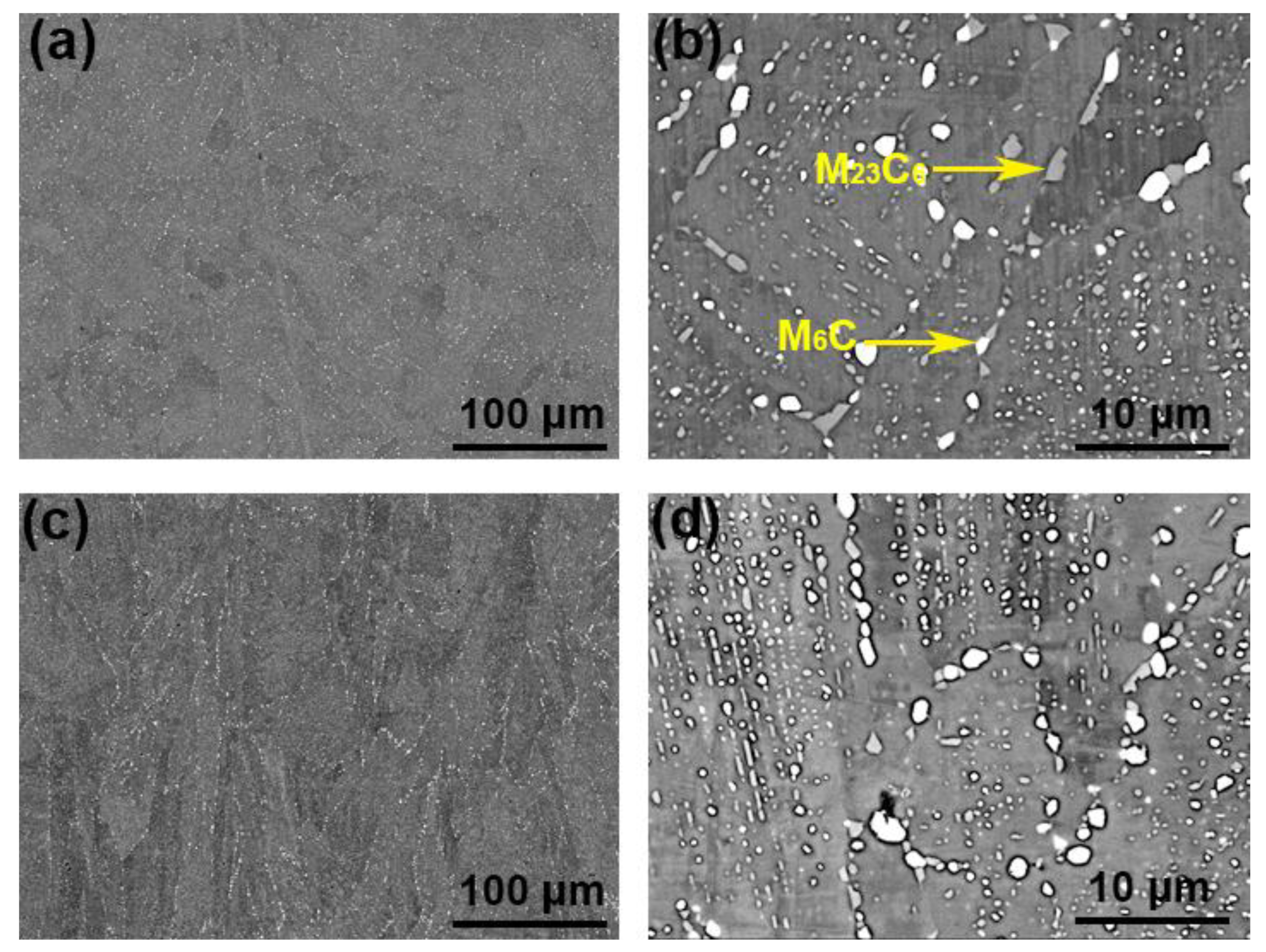 Materials 14 04792 g005