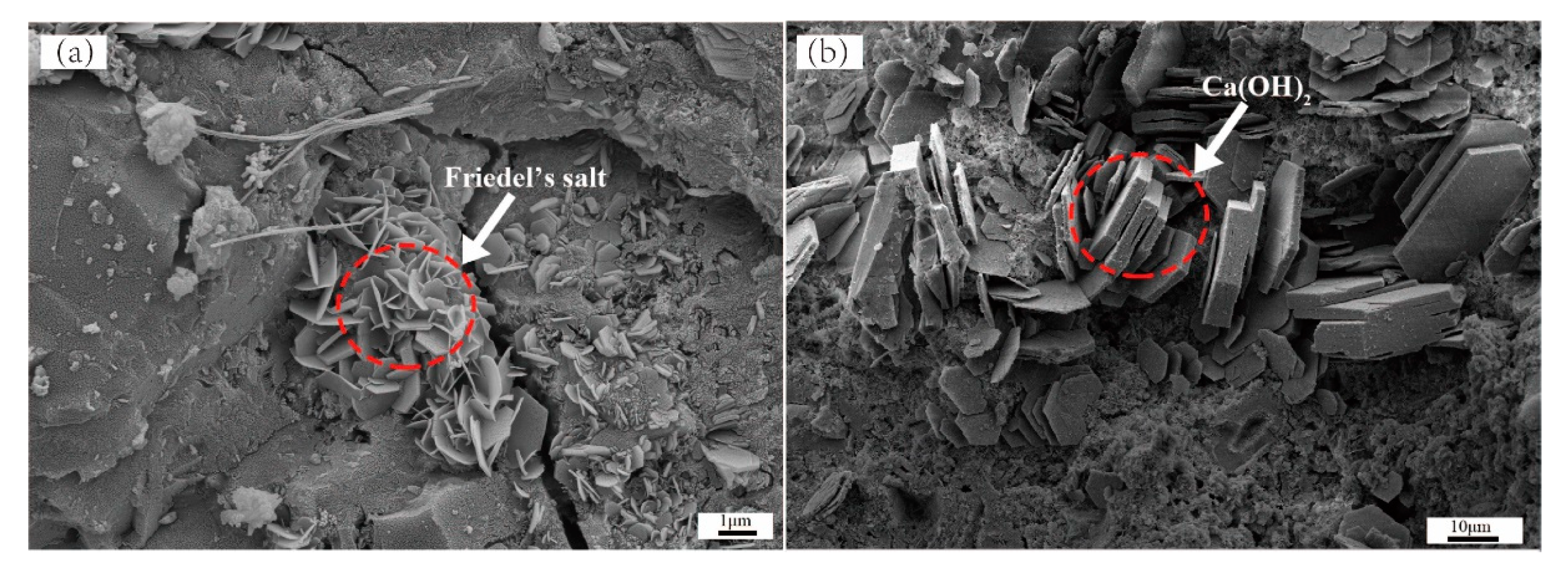 Materials 14 04794 g003