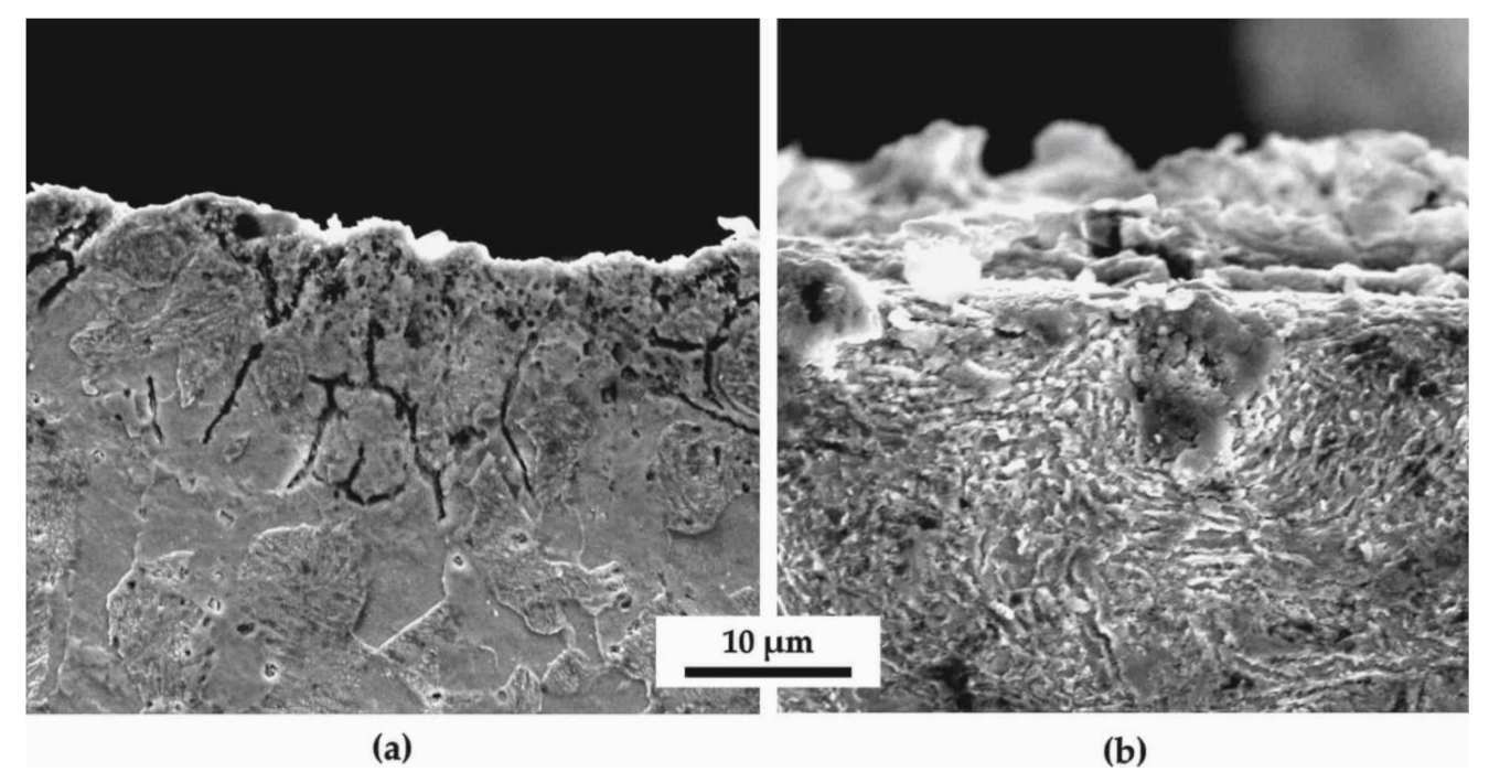 Materials 14 04795 g004