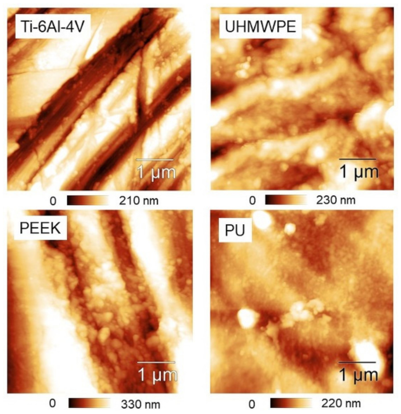 Materials 14 04803 g006