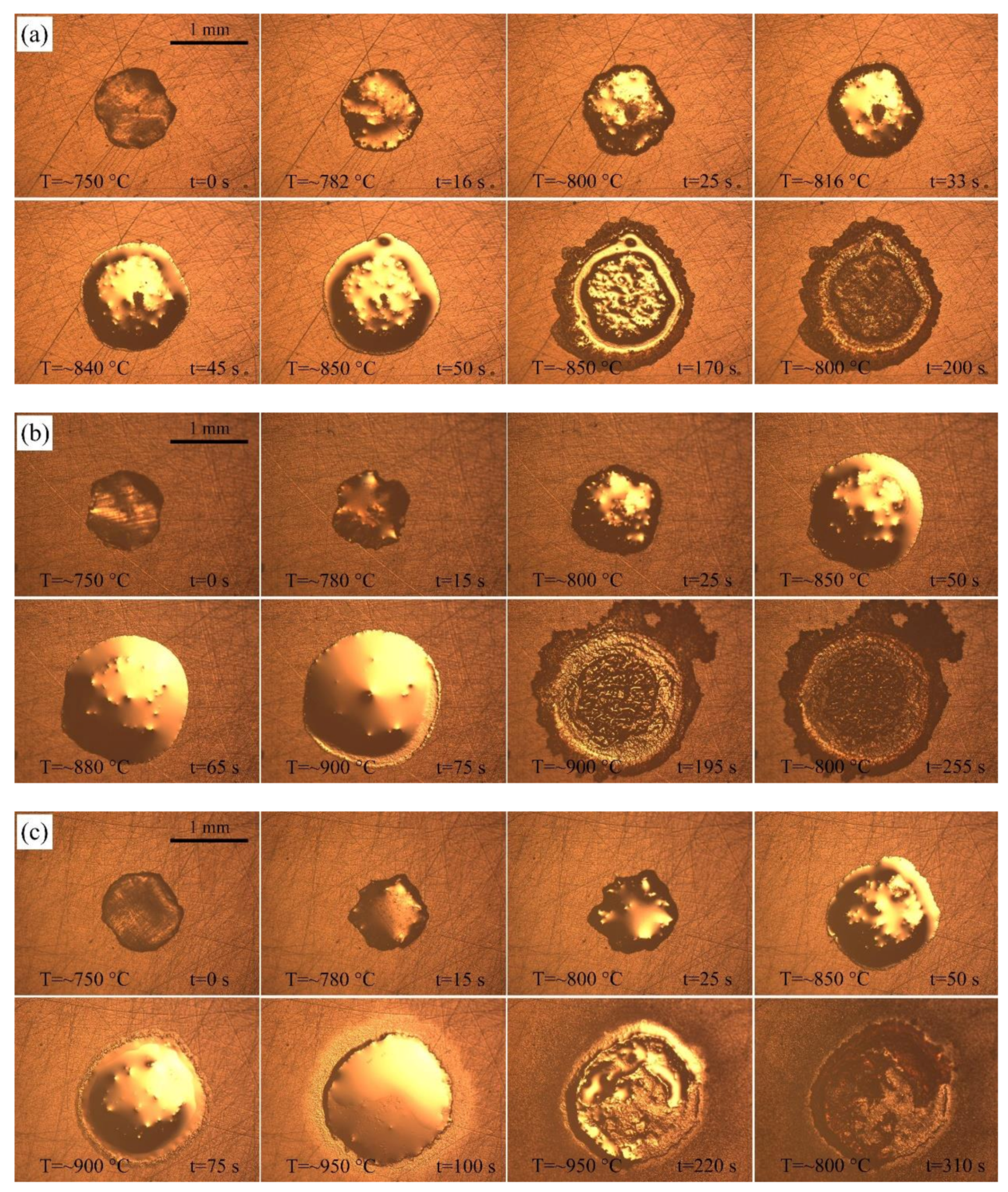 Materials 14 04804 g002