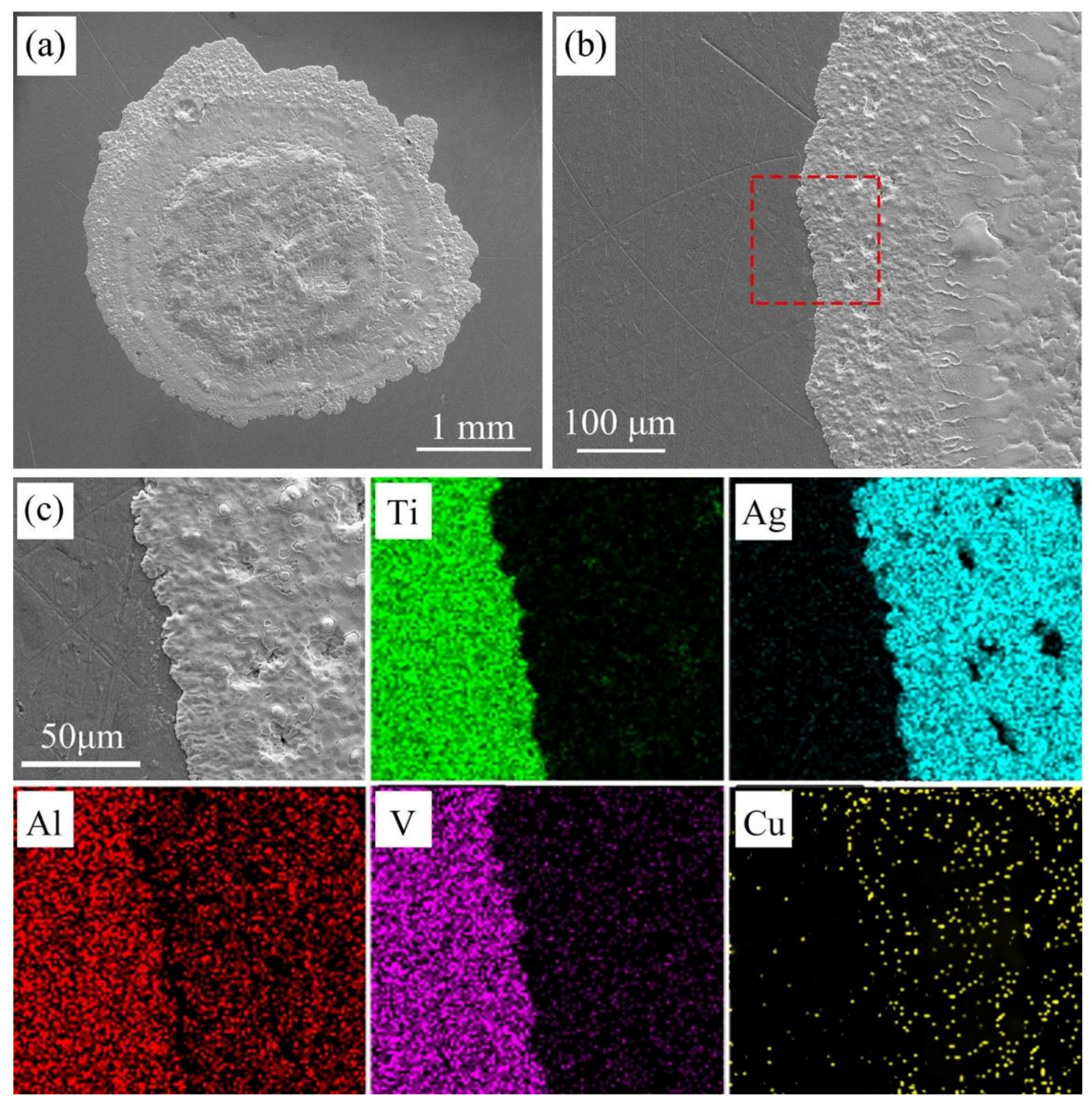 Materials 14 04804 g008