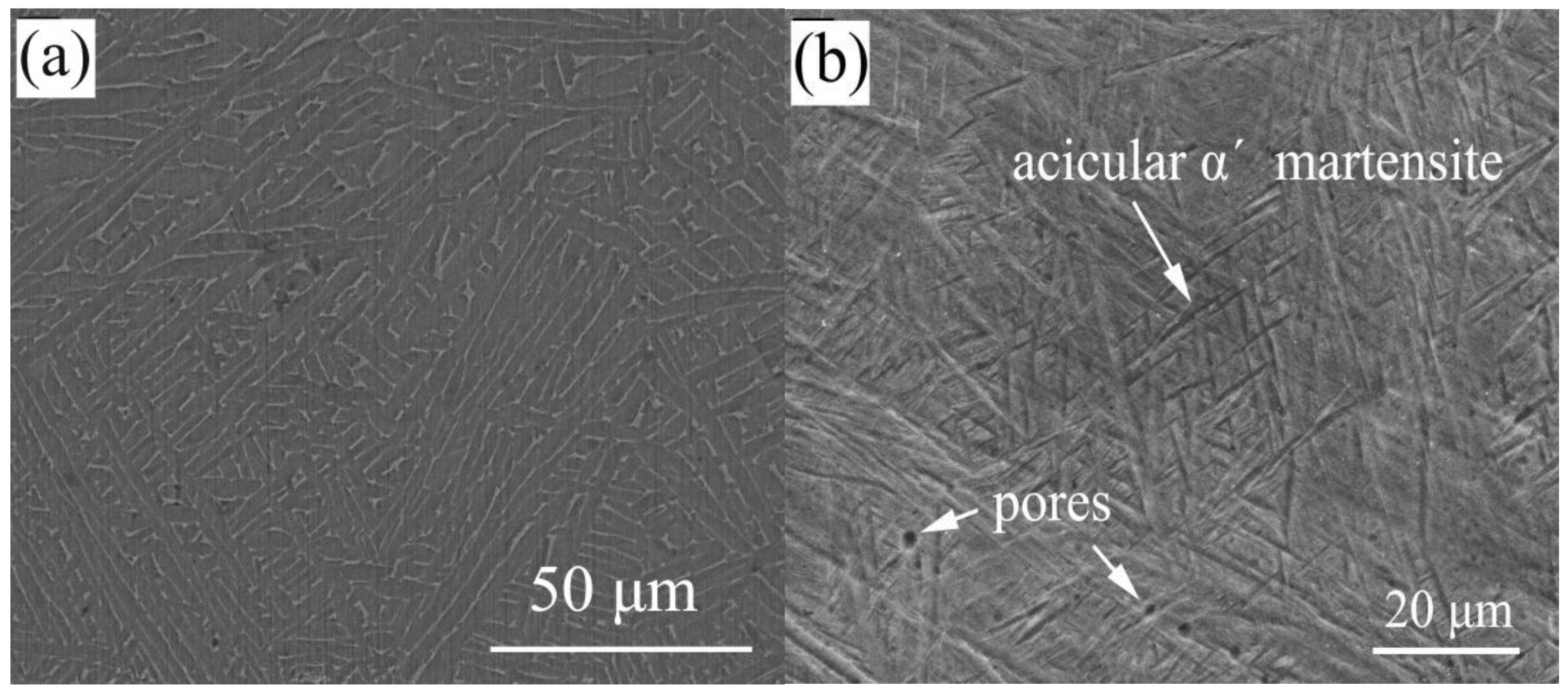 Materials 14 04804 g010
