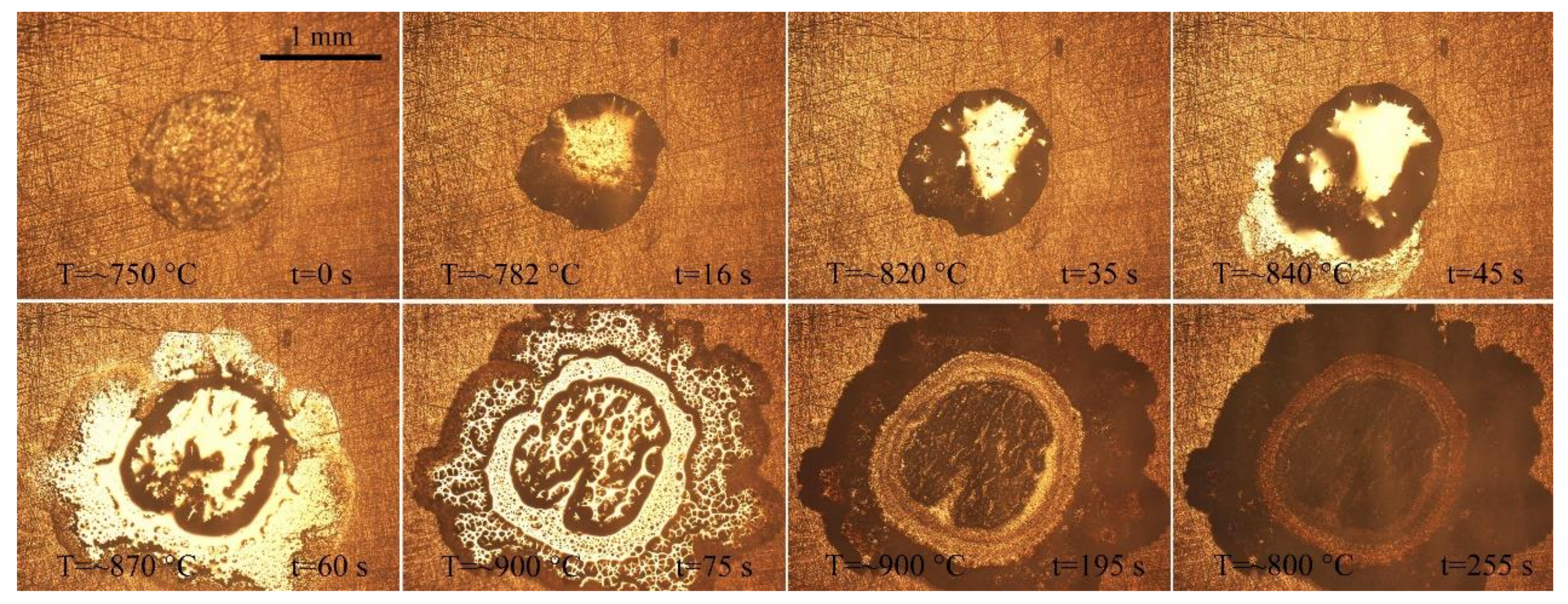 Materials 14 04804 g012