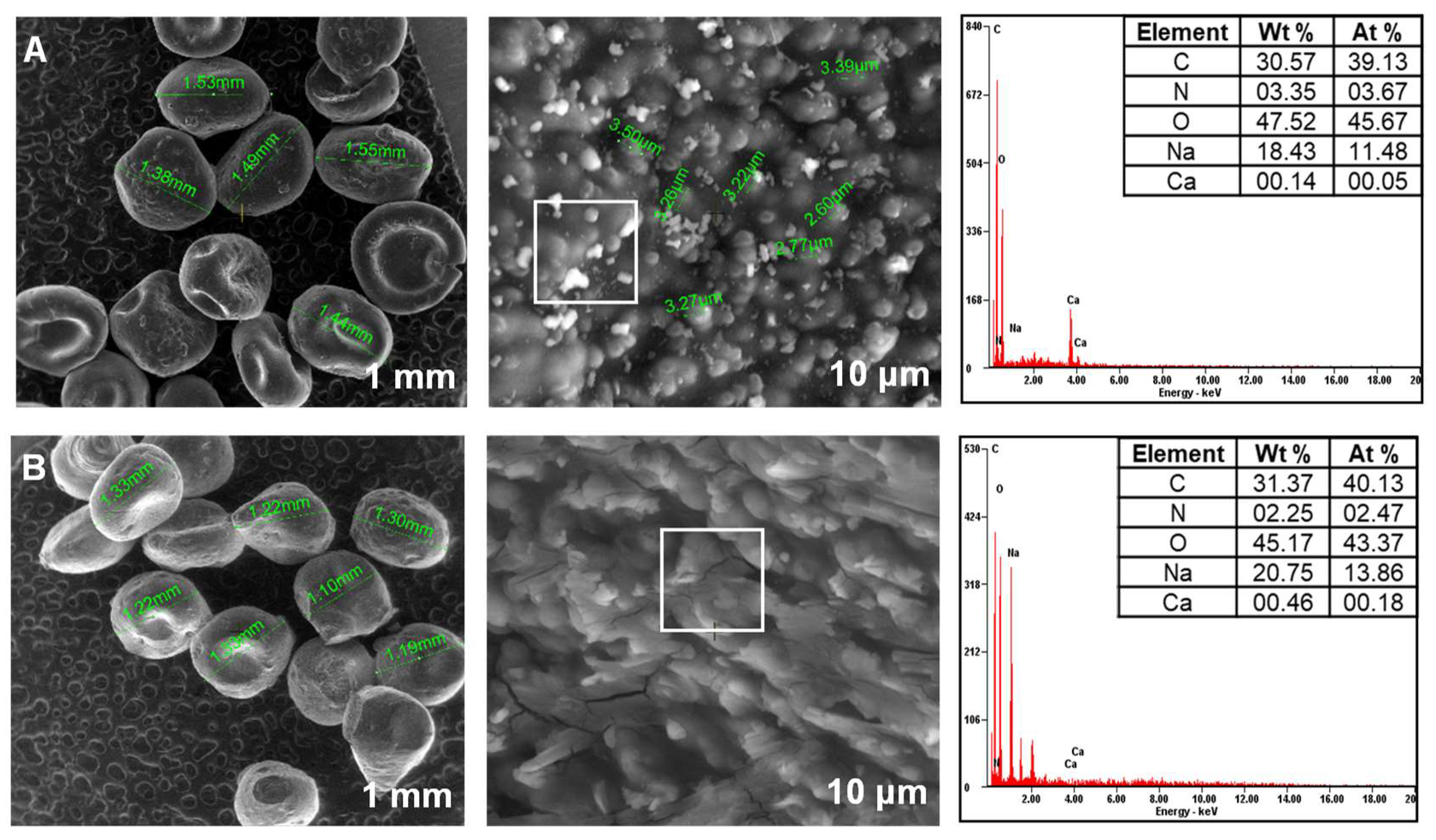 Materials 14 04810 g004