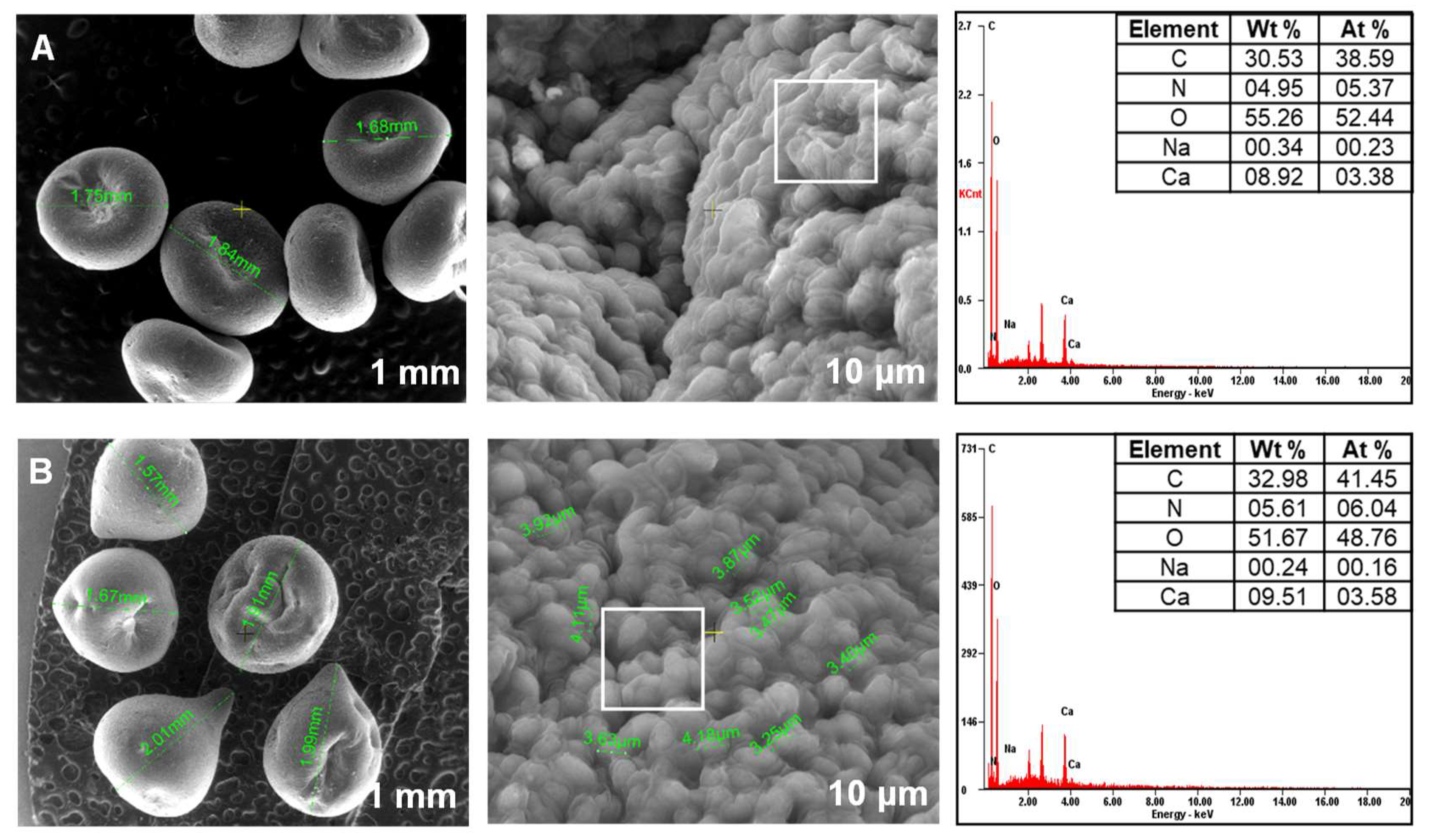Materials 14 04810 g005