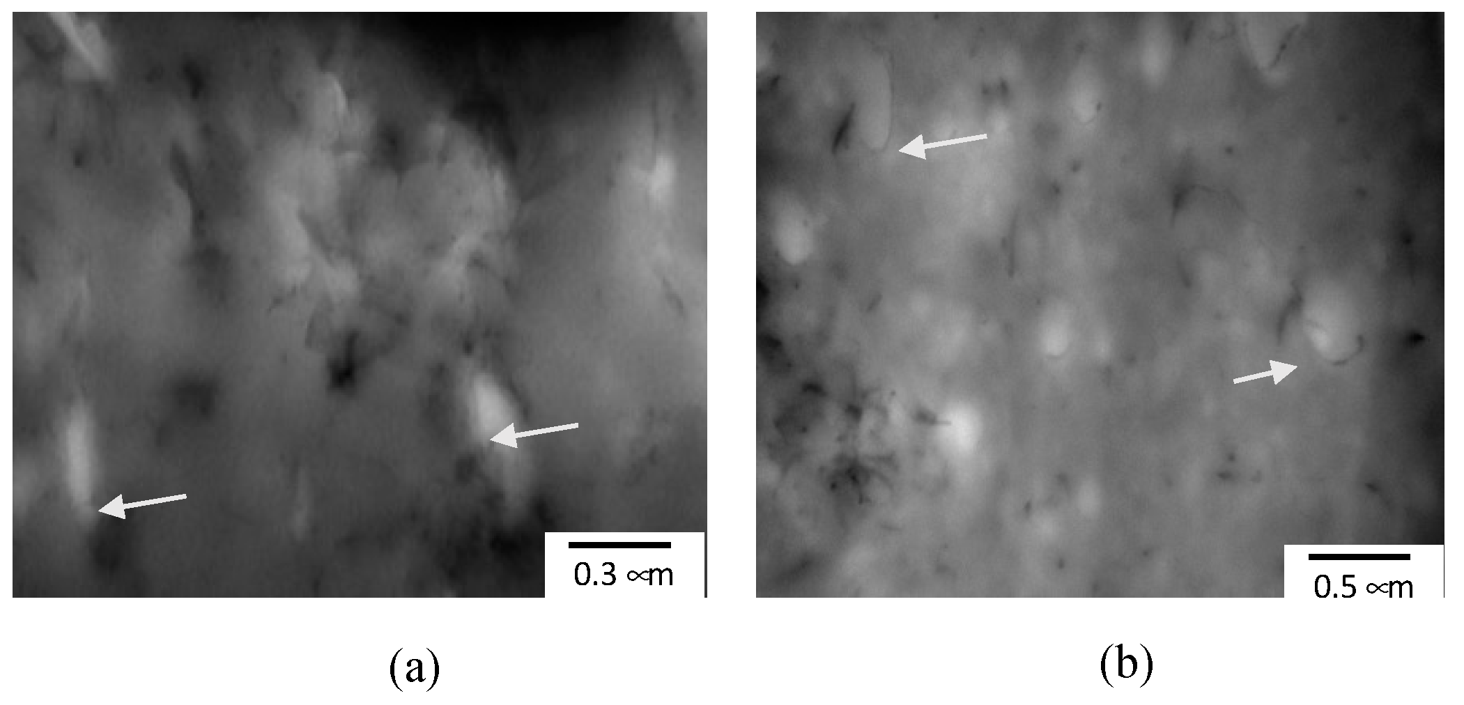 Materials 14 04813 g003