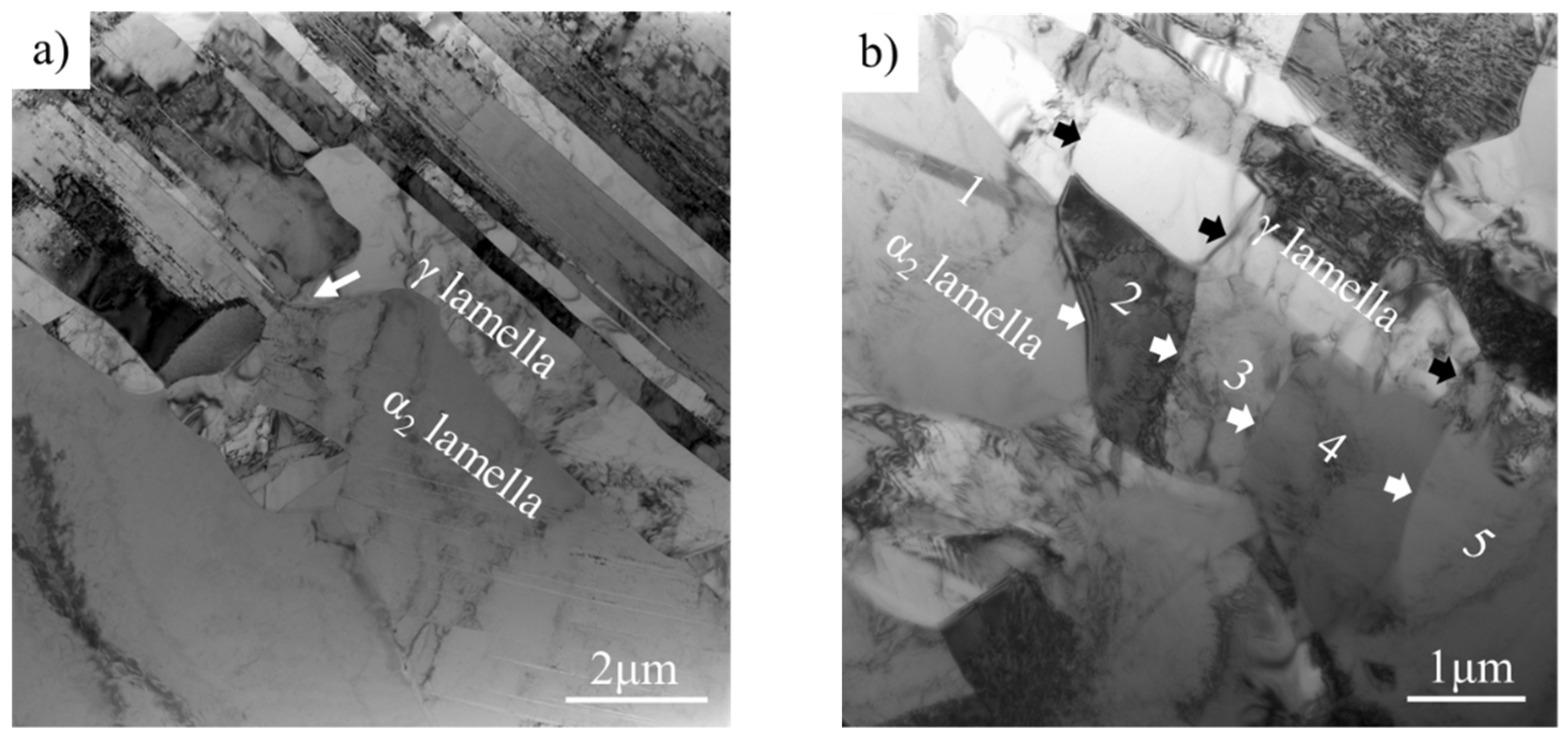 Materials 14 04817 g007a