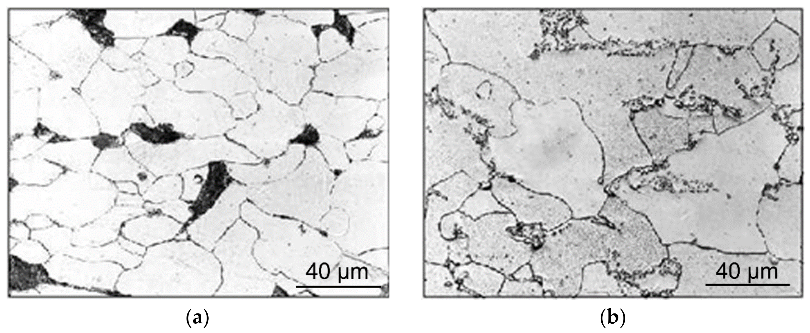 Materials 14 04821 g003