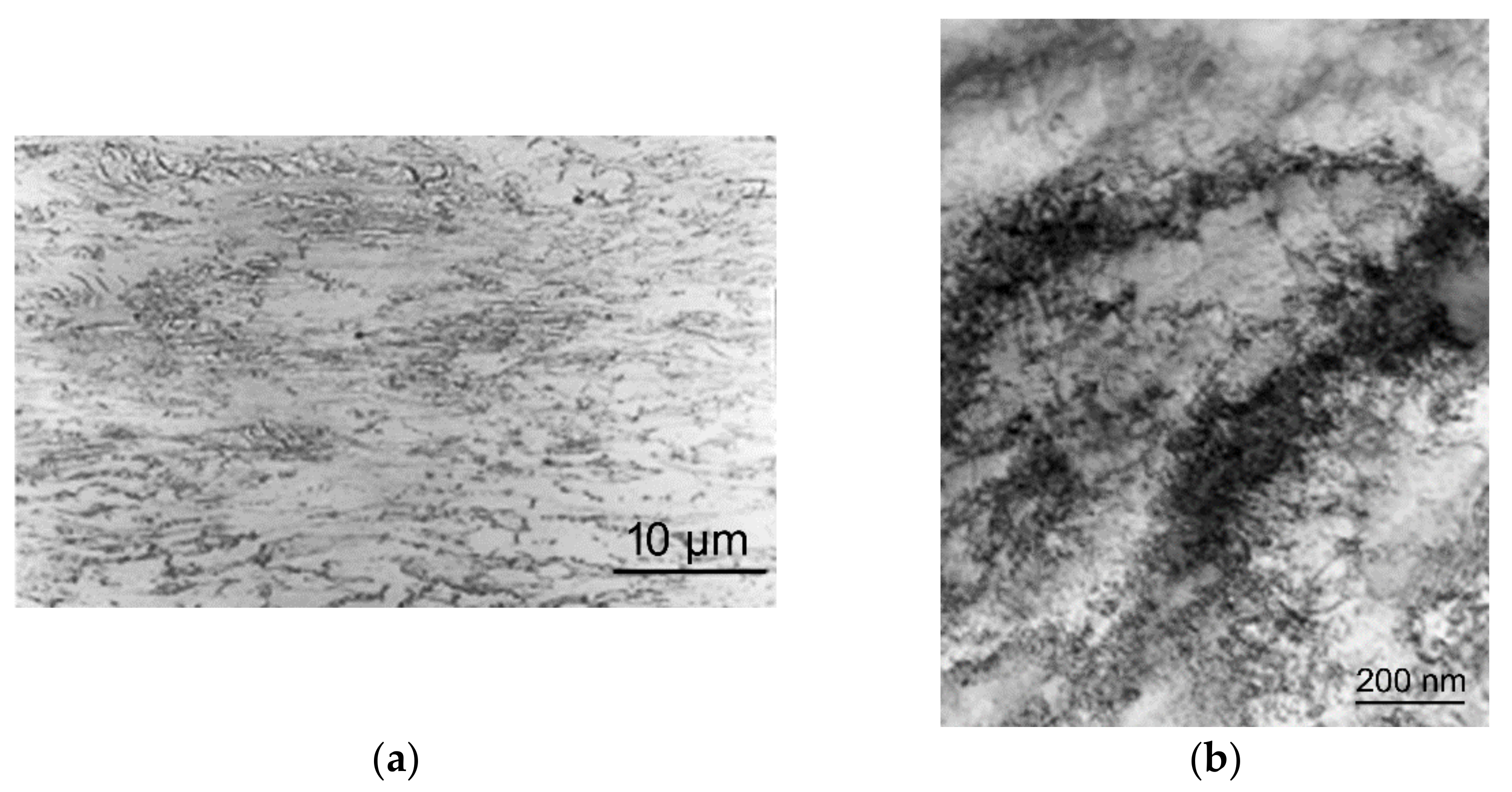 Materials 14 04821 g004