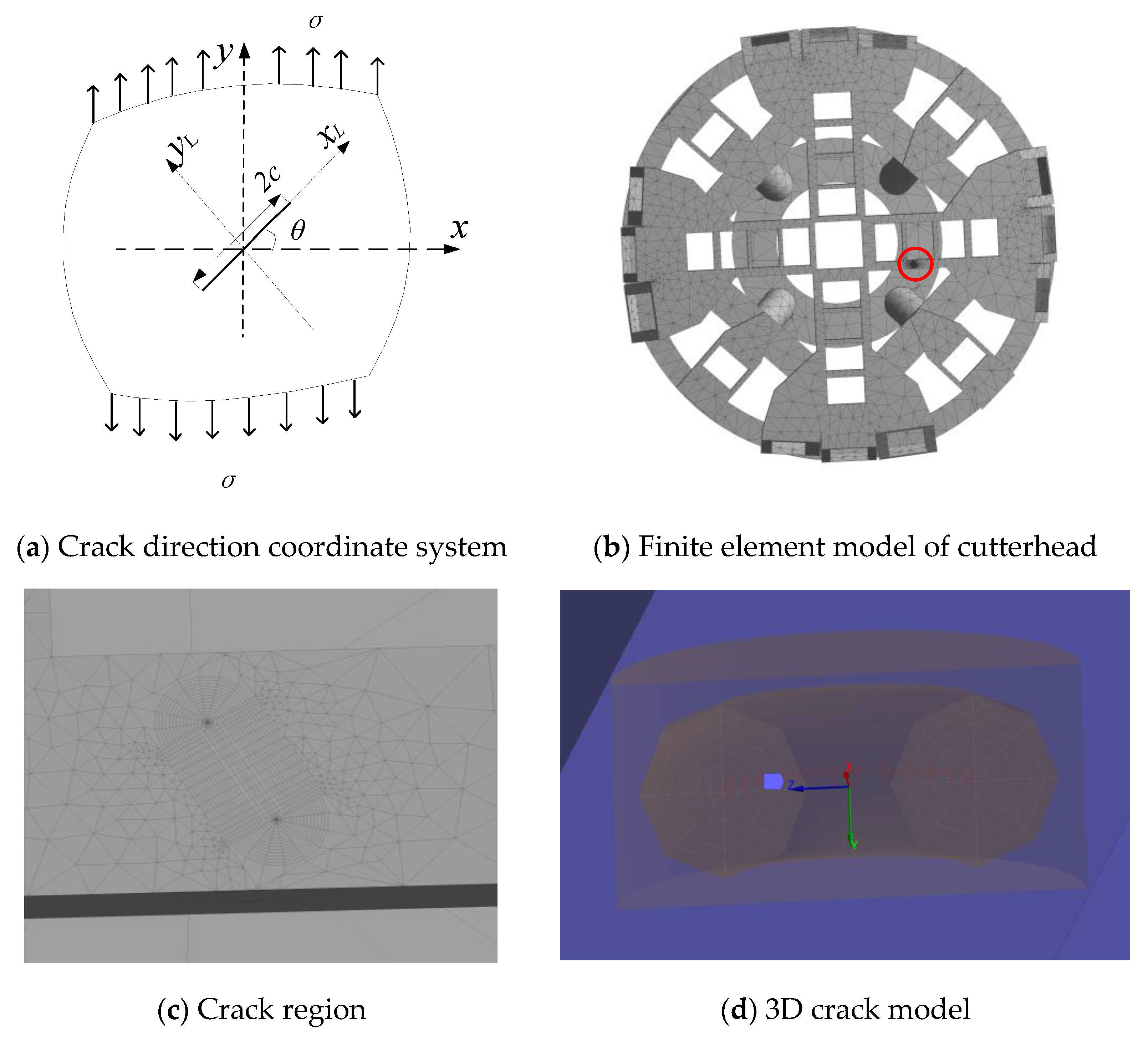 Materials 14 04822 g006