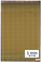 Materials 14 04823 i001