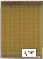 Materials 14 04823 i003