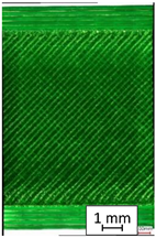 Materials 14 04823 i011