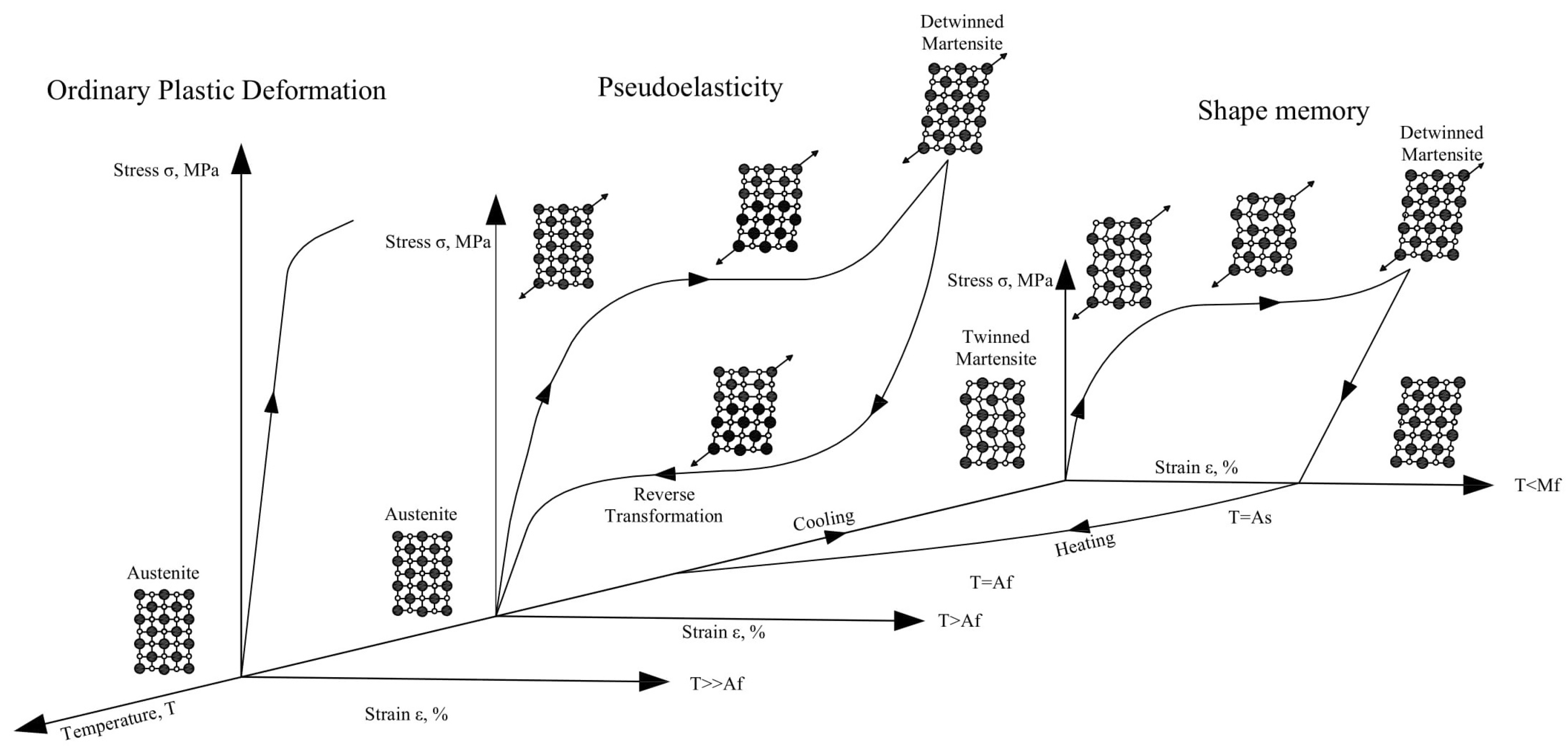Materials 14 04824 g006