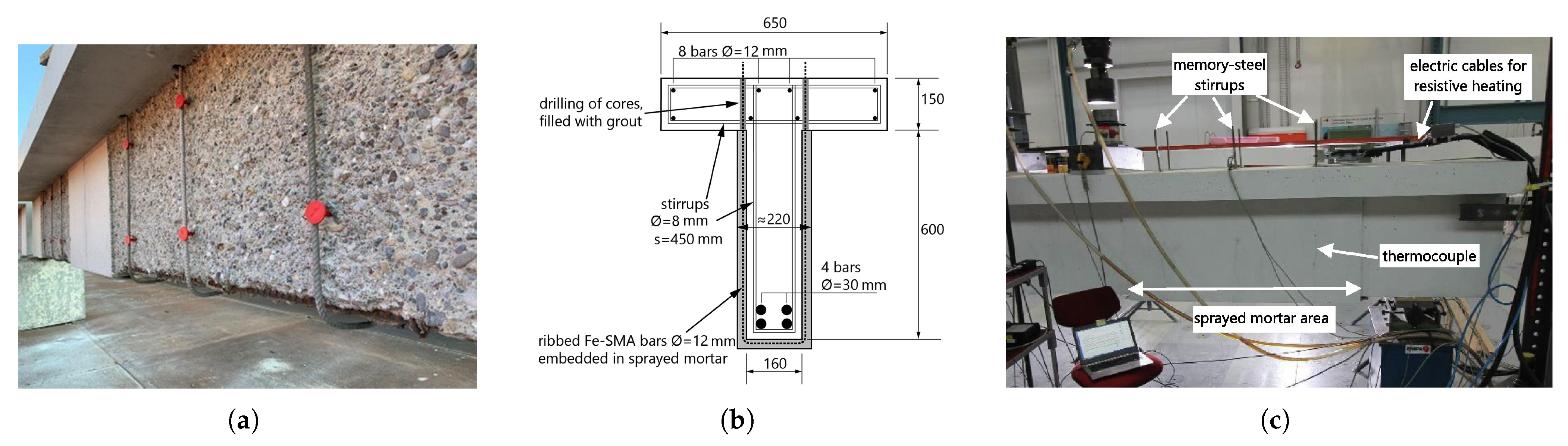 Materials 14 04824 g010
