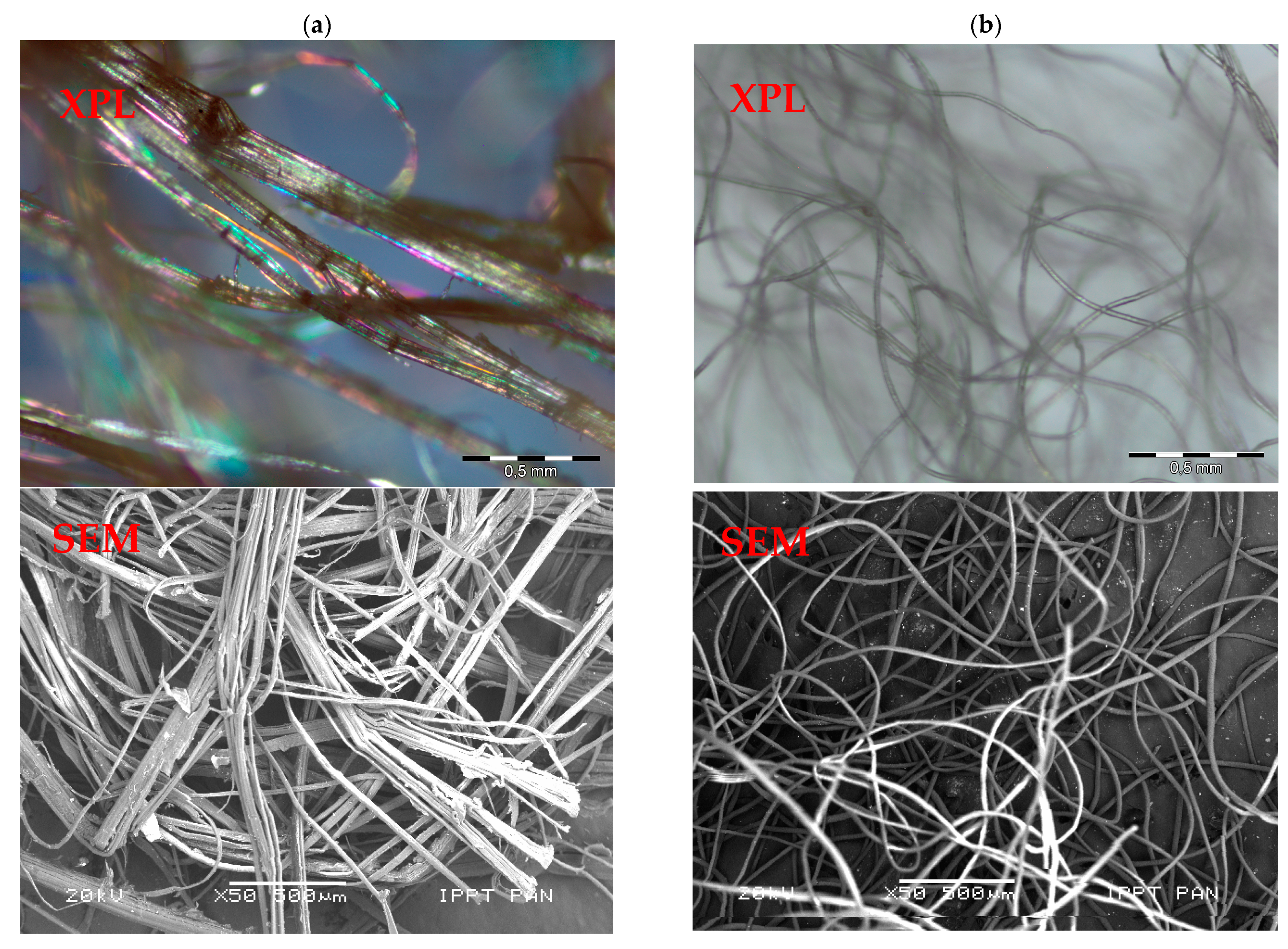 Materials 14 04830 g001