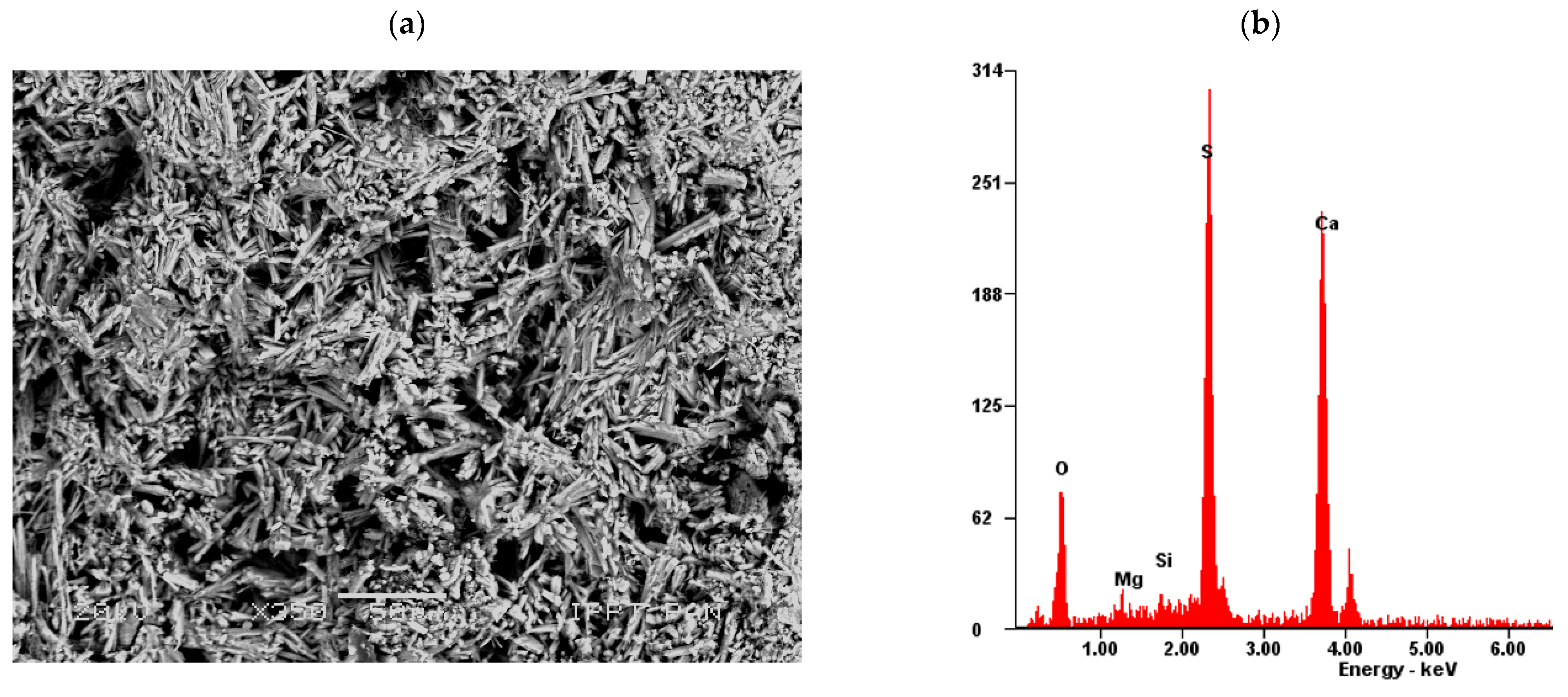 Materials 14 04830 g008